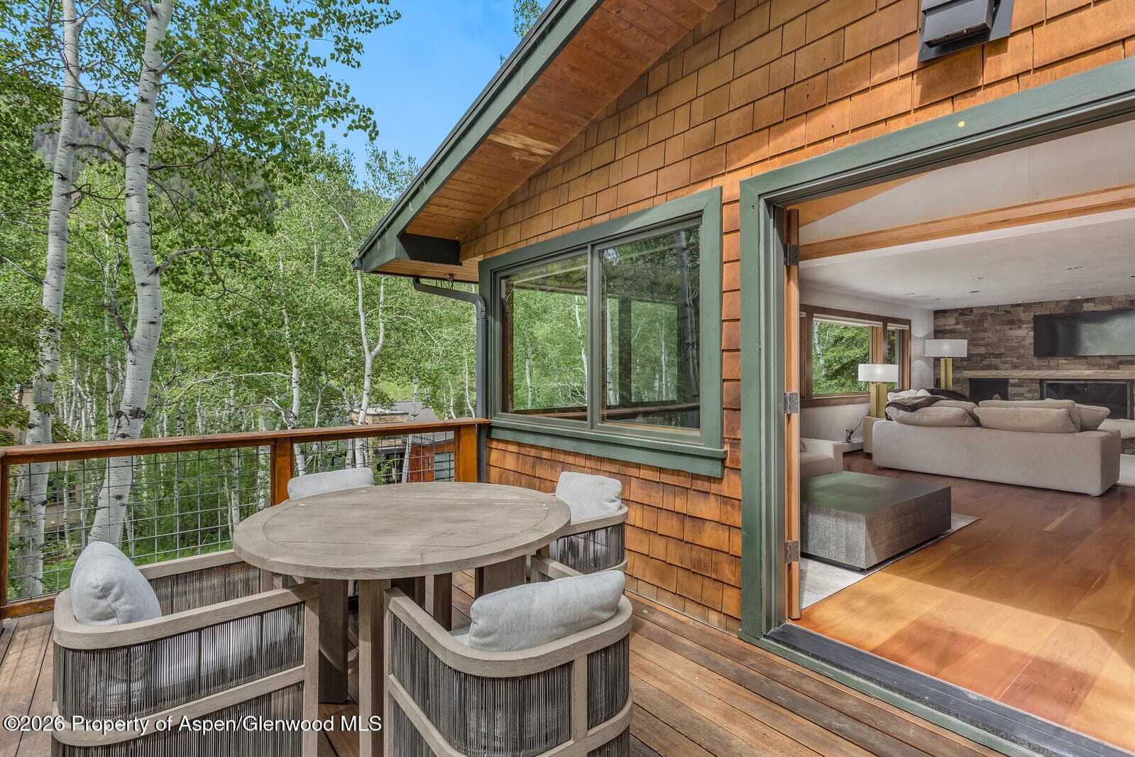 203 Eastwood Drive, Aspen, CO 81611 - Photo 28