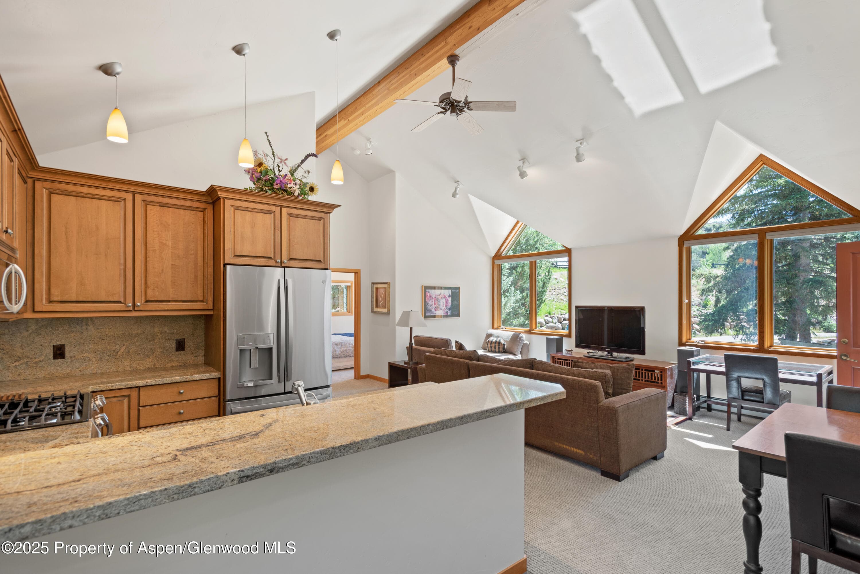 106 N Little Texas Lane, Woody Creek, CO 81656 - Photo 38