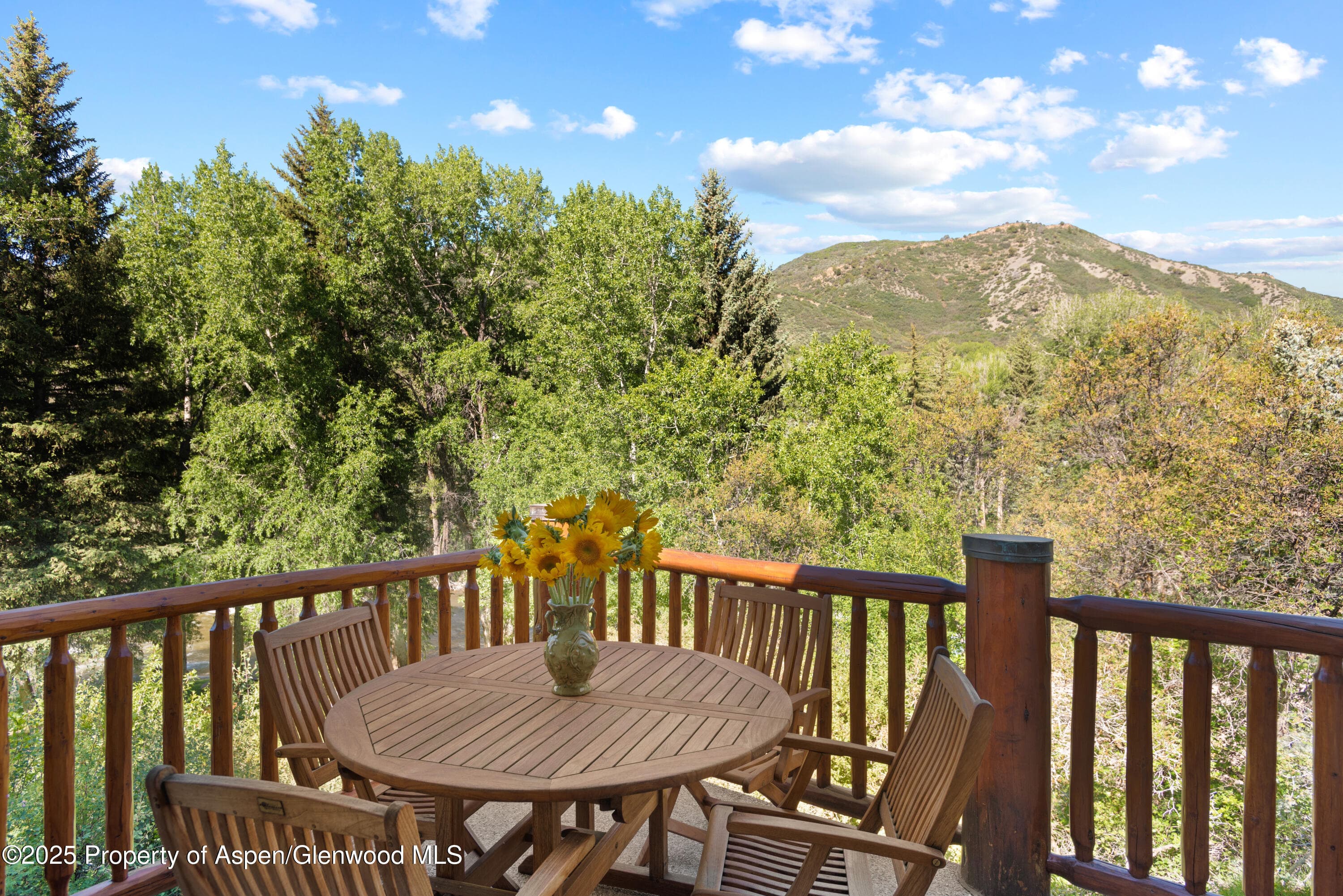 106 N Little Texas Lane, Woody Creek, CO 81656 - Photo 10