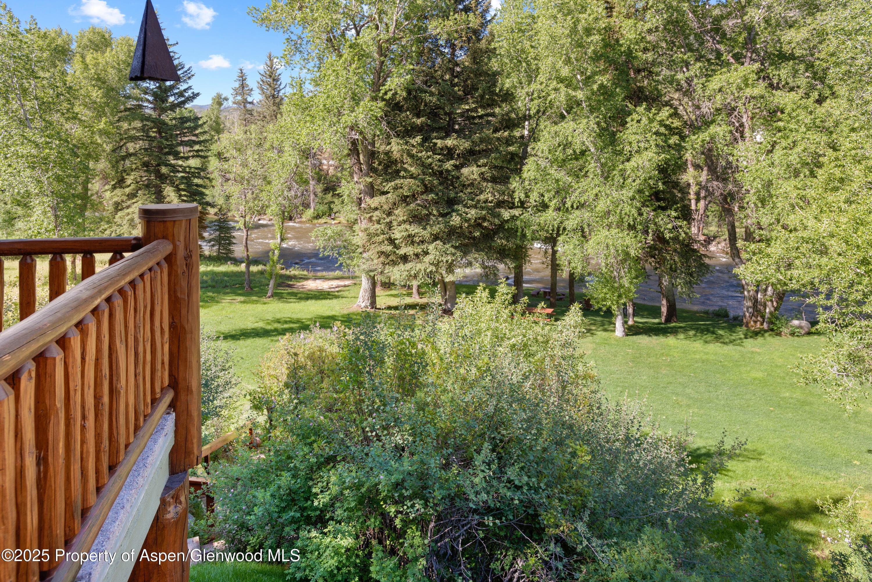 106 N Little Texas Lane, Woody Creek, CO 81656 - Photo 6