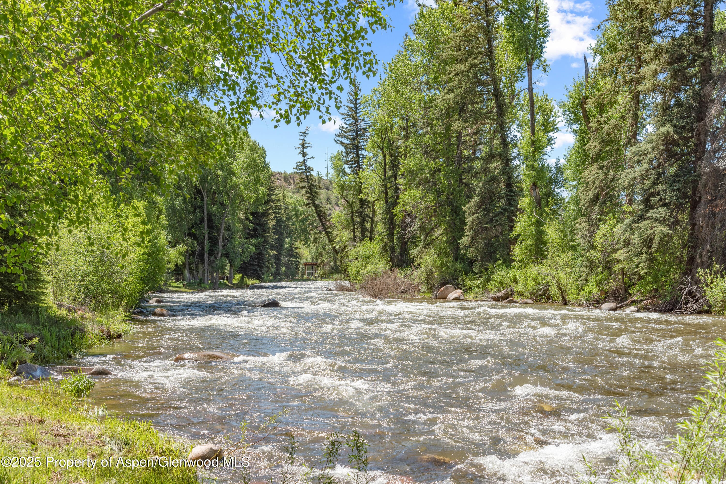 106 N Little Texas Lane, Woody Creek, CO 81656 - Photo 17