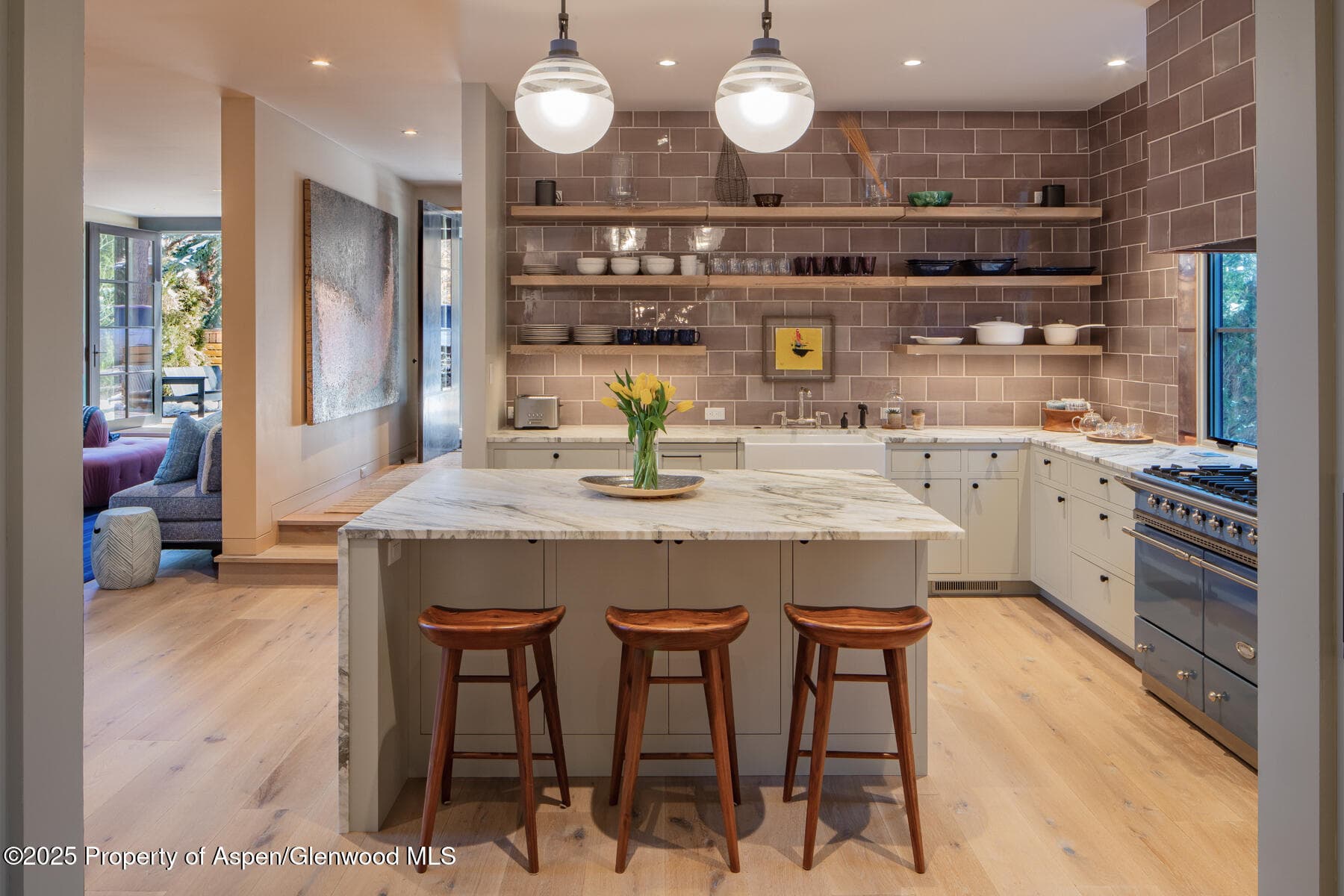614 W North Street, Aspen, CO 81611 - Photo 8