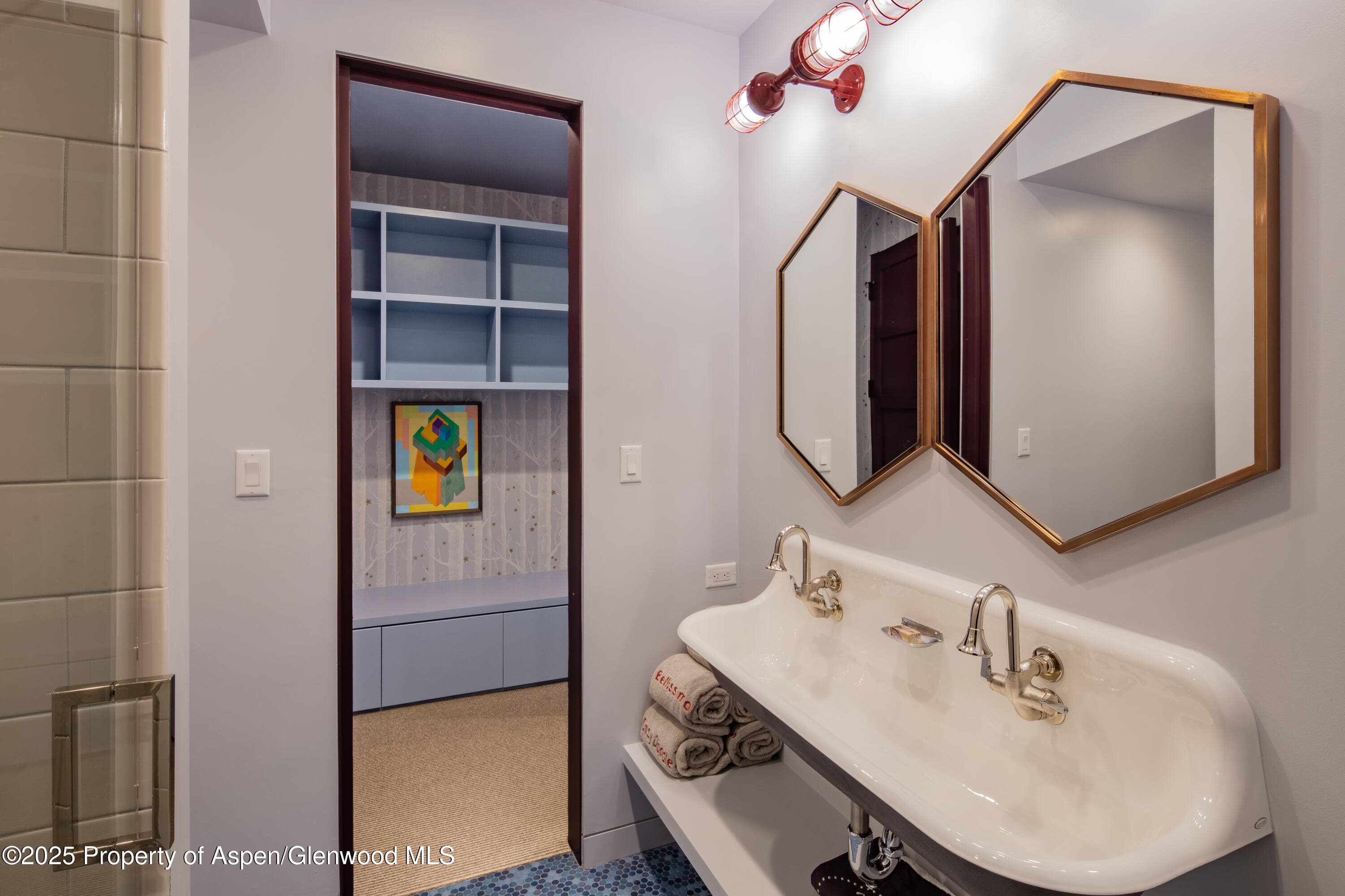 614 W North Street, Aspen, CO 81611 - Photo 19