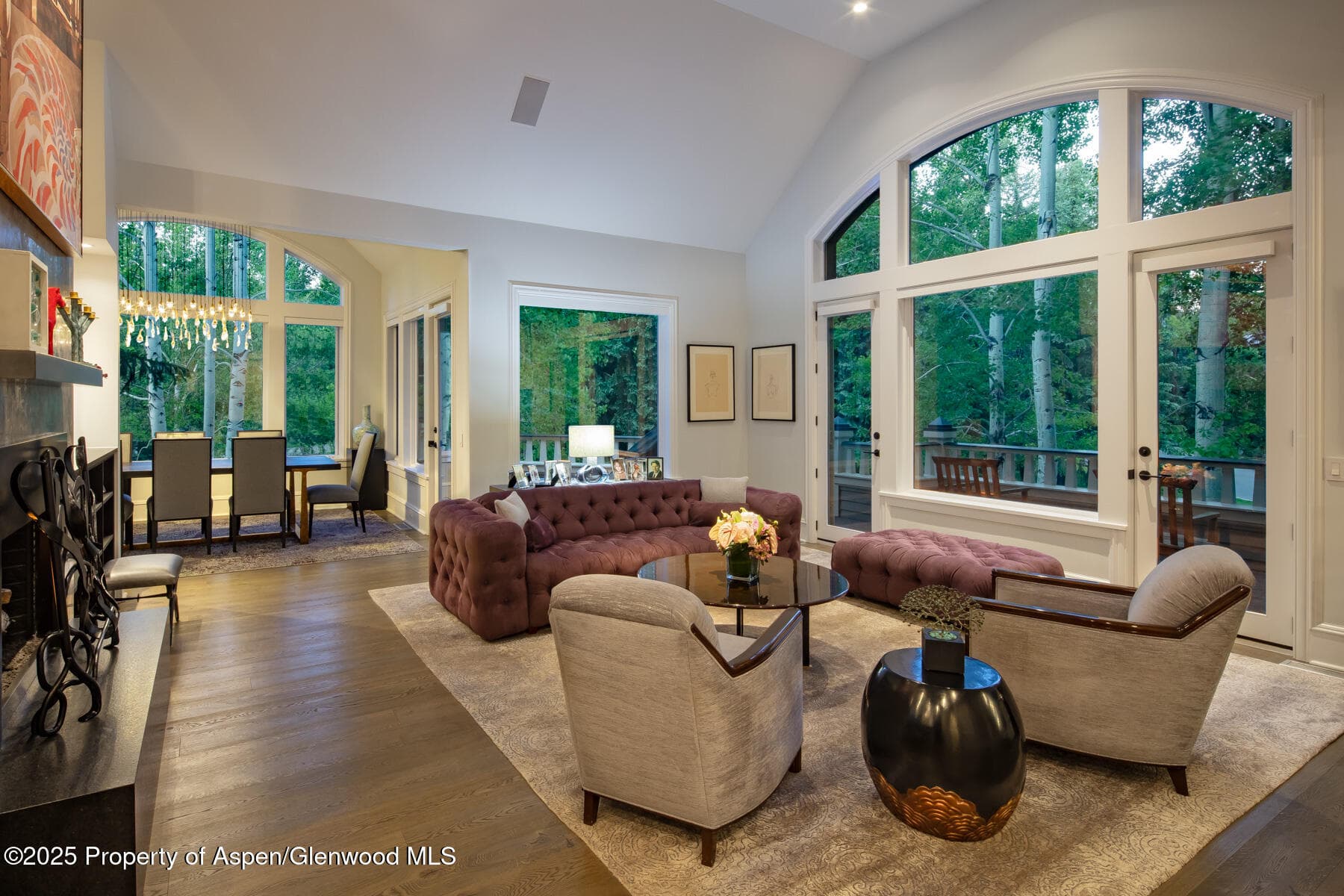 205 N 6th Street, Aspen, CO 81611 - Photo 3