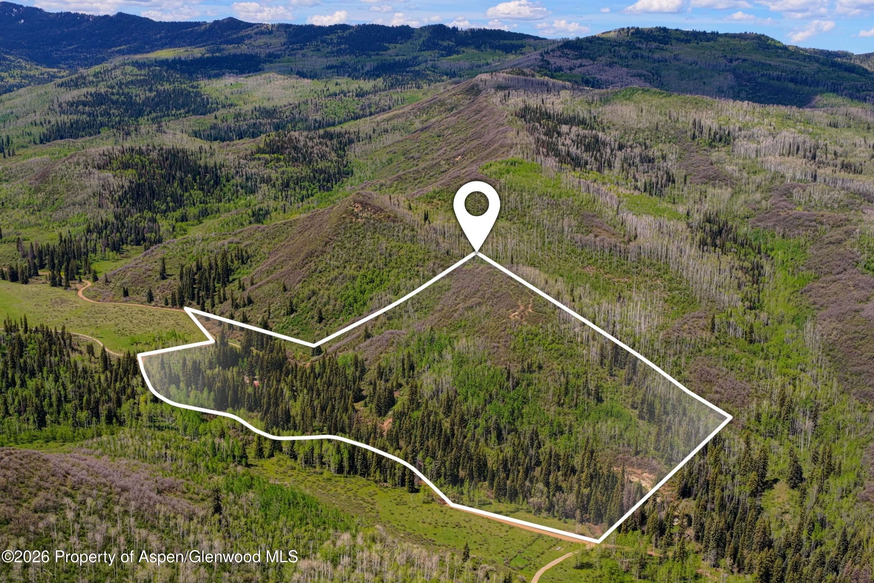 12123 Co Rd 313, New Castle, CO 81647 - Photo 30