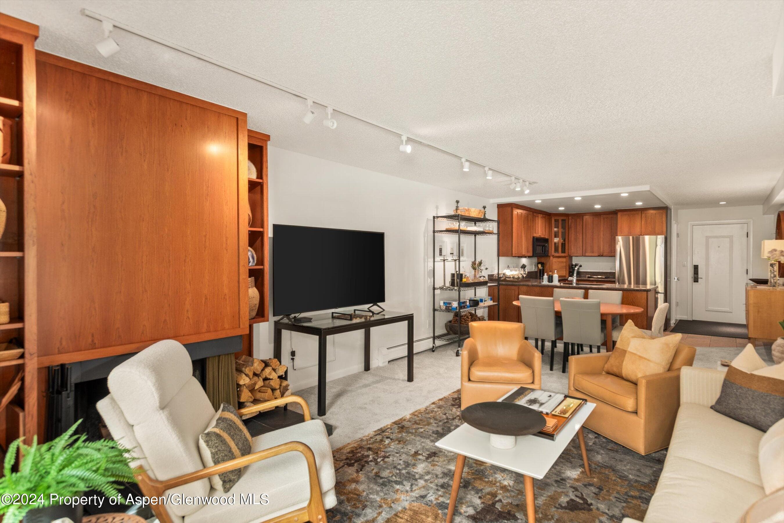 205 E Durant Avenue 1-C, Aspen, CO 81611 - Photo 3