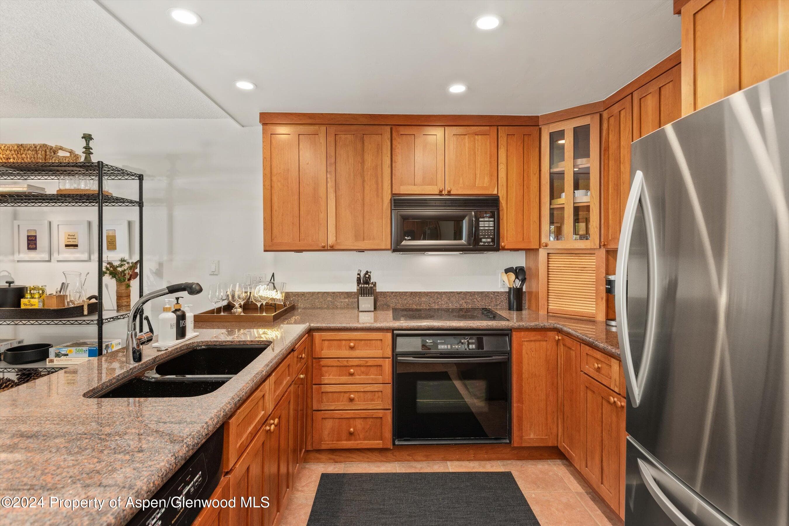 205 E Durant Avenue 1-C, Aspen, CO 81611 - Photo 4