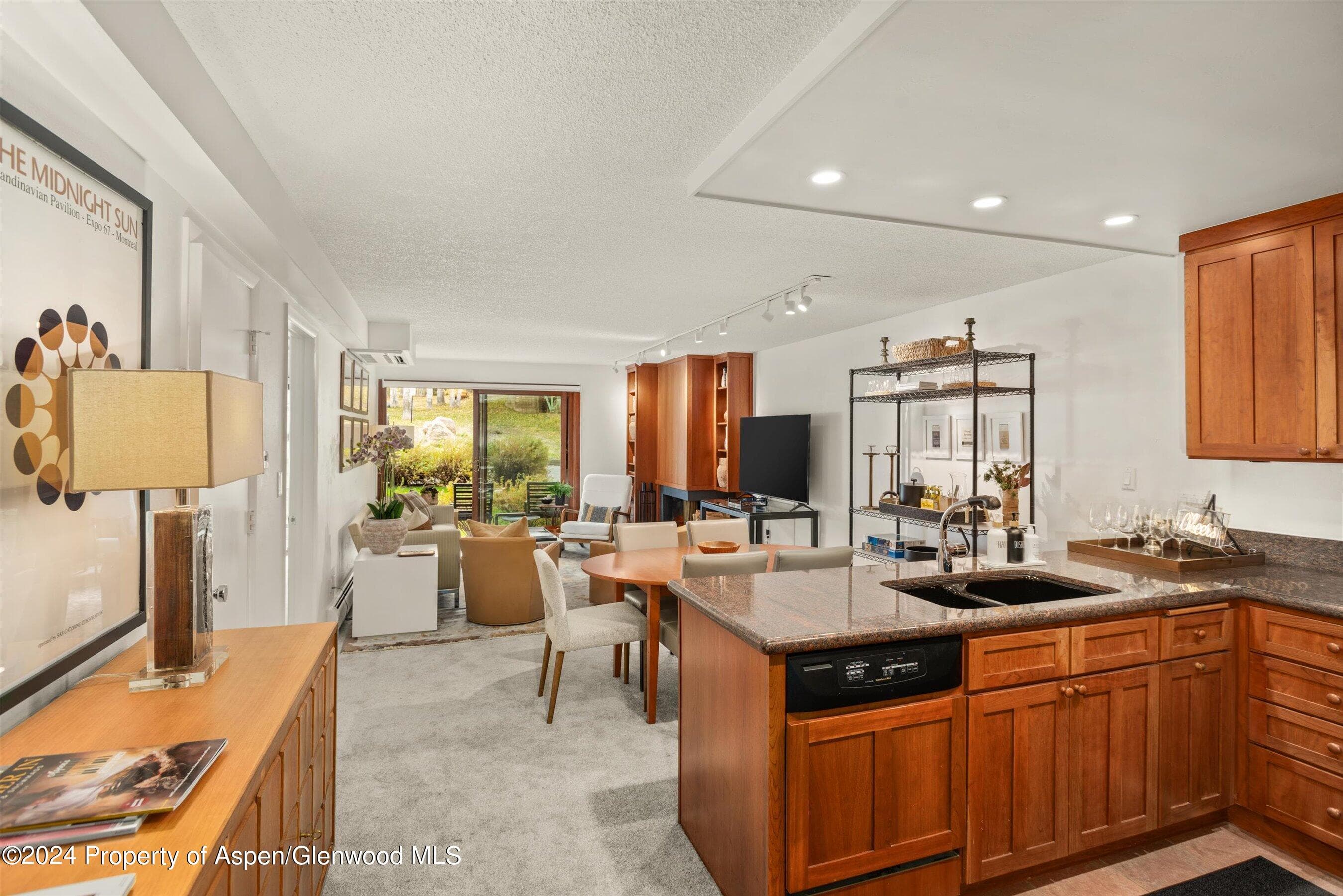 205 E Durant Avenue 1-C, Aspen, CO 81611 - Photo 6