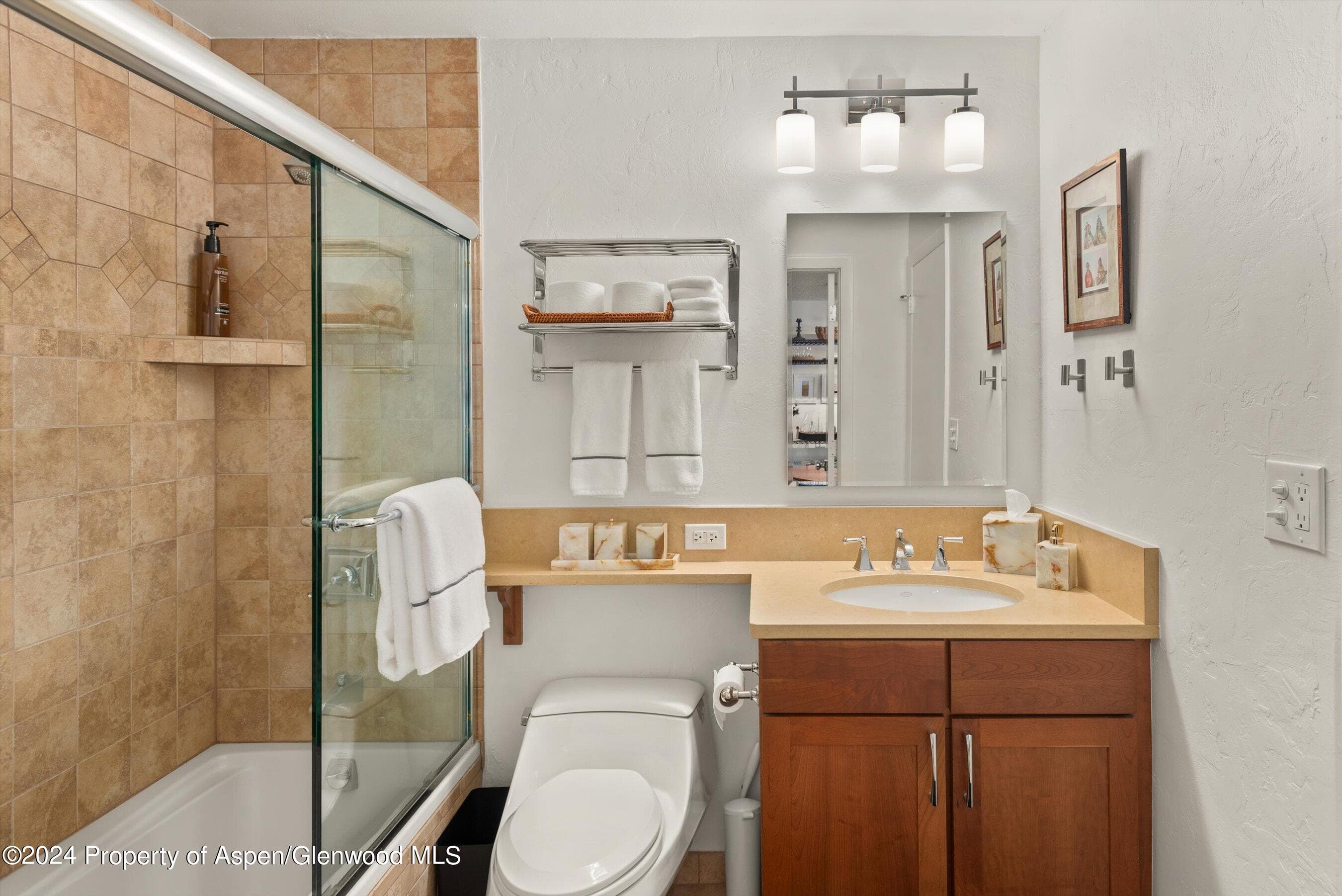 205 E Durant Avenue 1-C, Aspen, CO 81611 - Photo 8