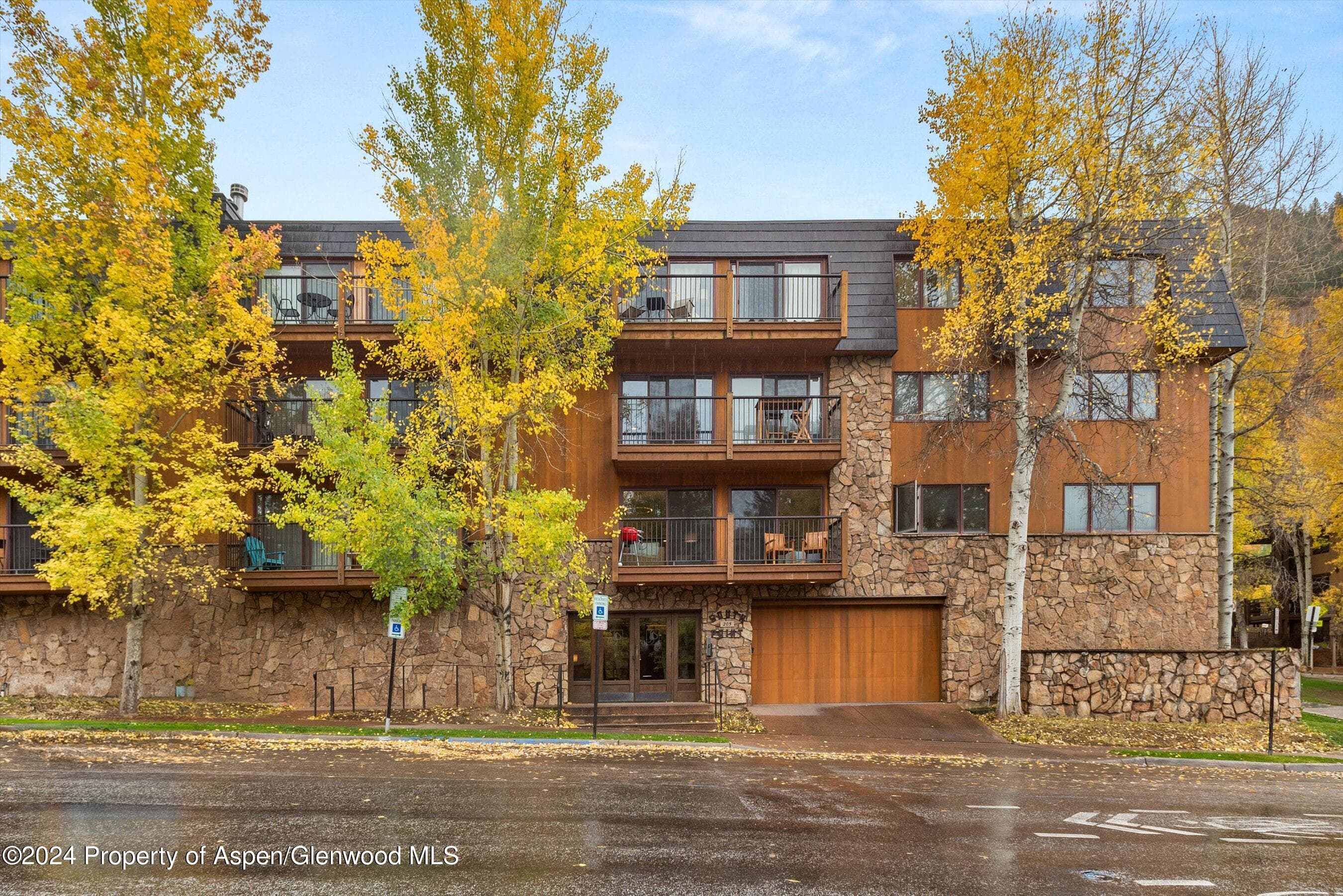 205 E Durant Avenue 1-C, Aspen, CO 81611 - Photo 12