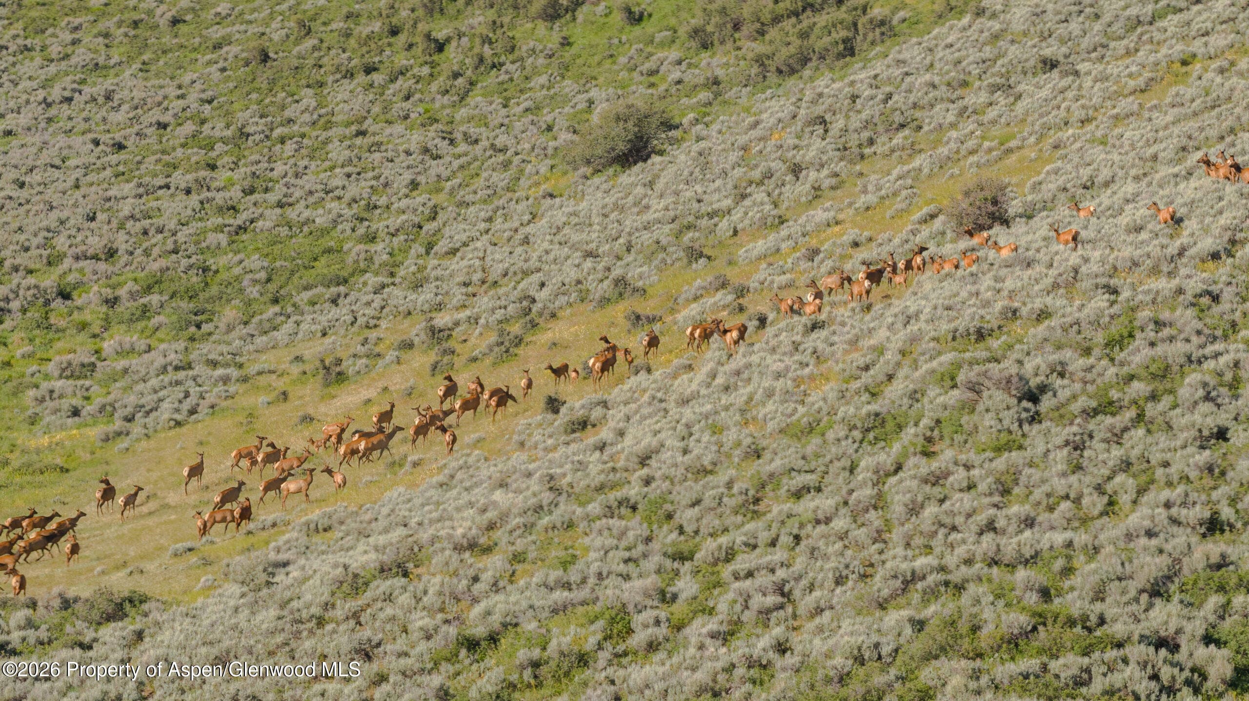 Tbd County Road 57, Hayden, CO 81639 - Photo 2
