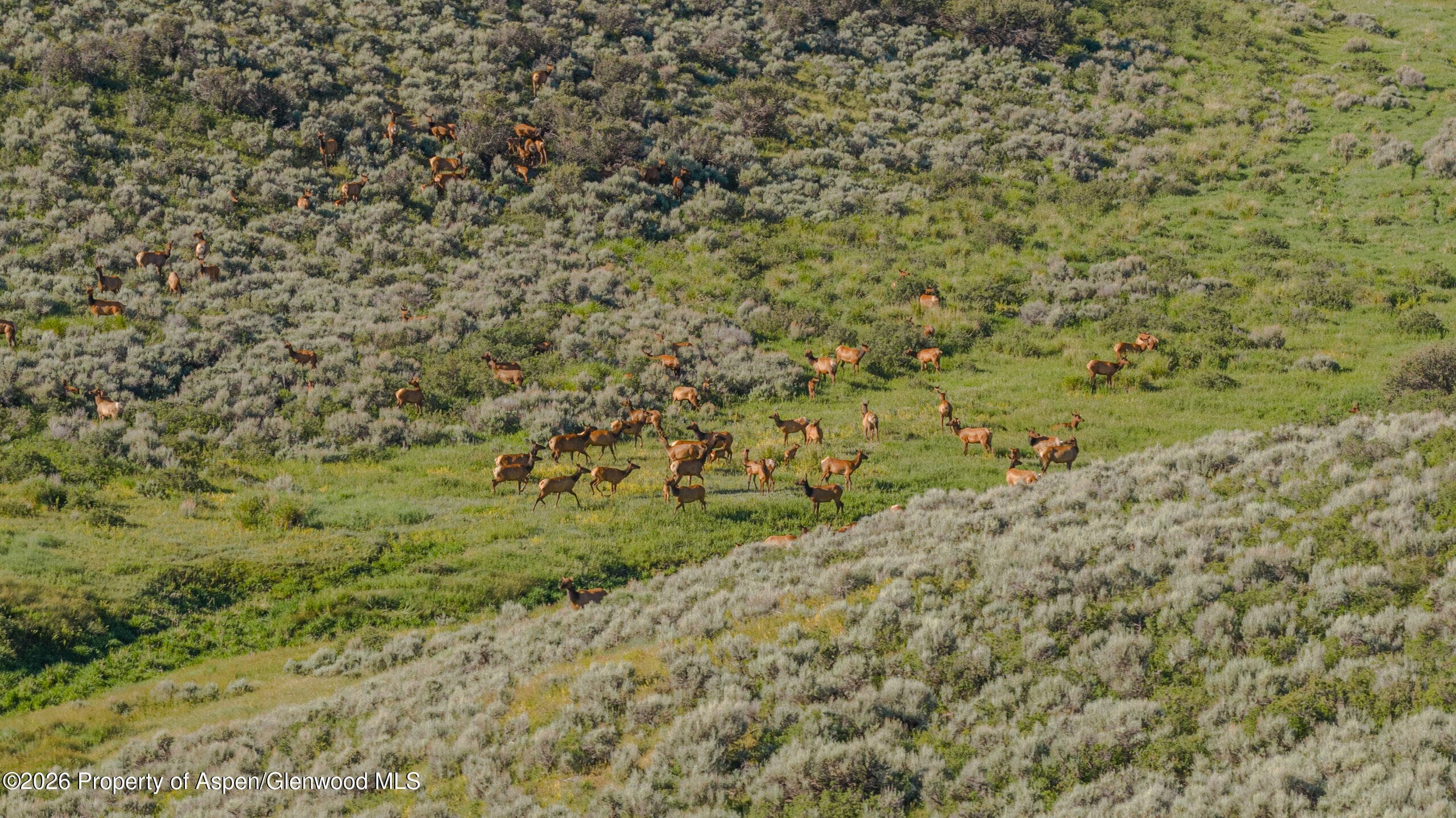 Tbd County Road 57, Hayden, CO 81639 - Photo 5