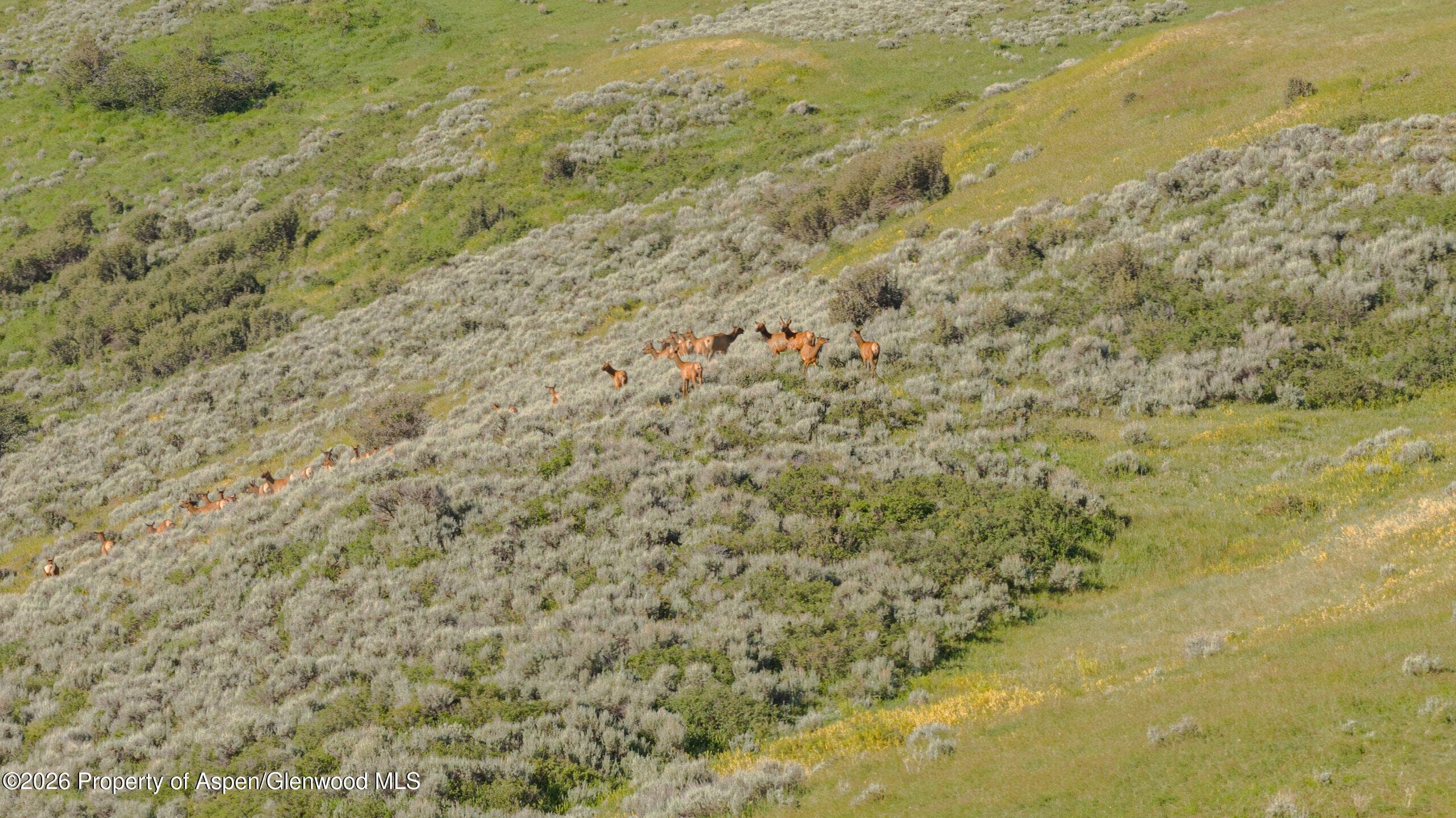 Tbd County Road 57, Hayden, CO 81639 - Photo 16