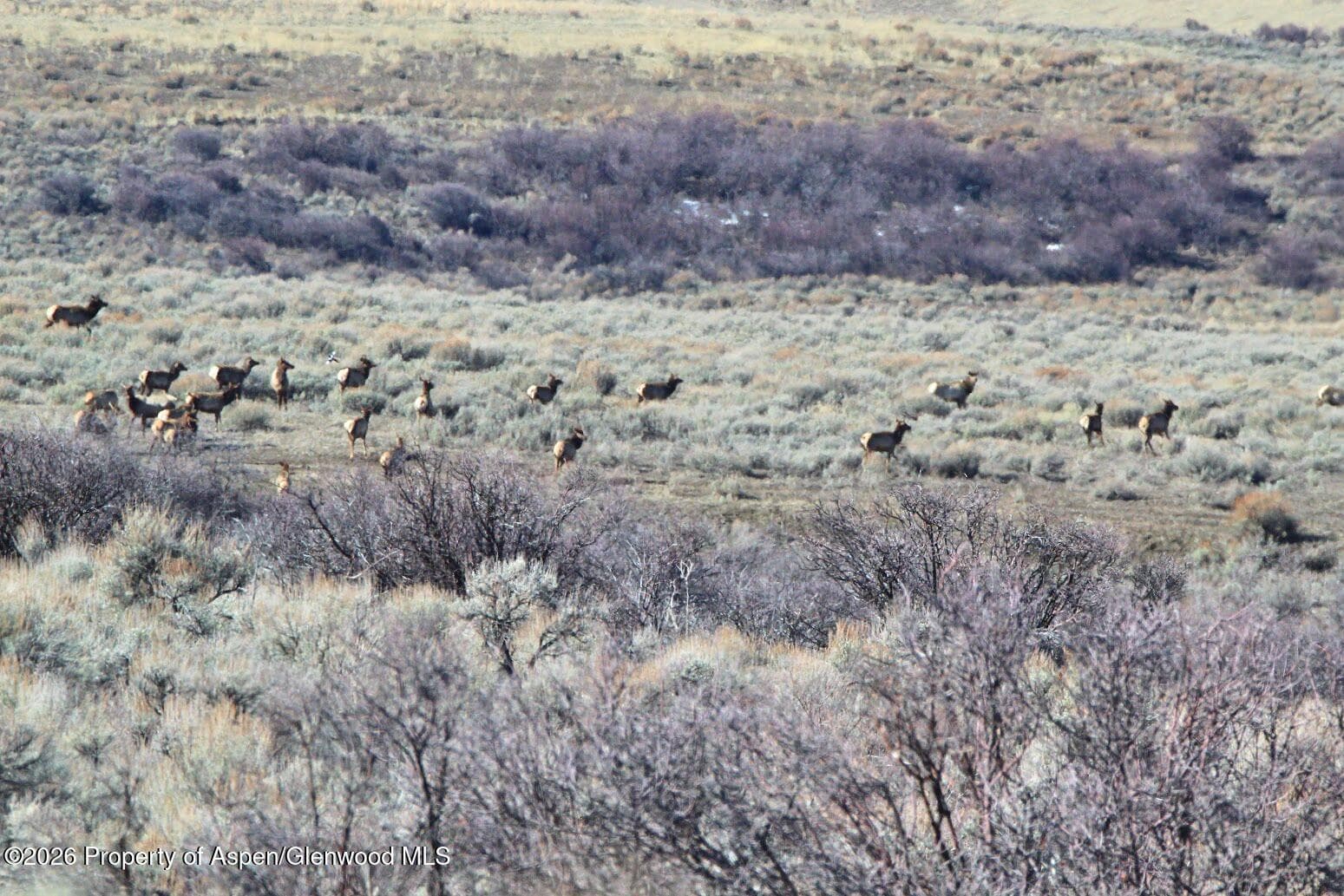 Tbd County Road 57, Hayden, CO 81639 - Photo 18