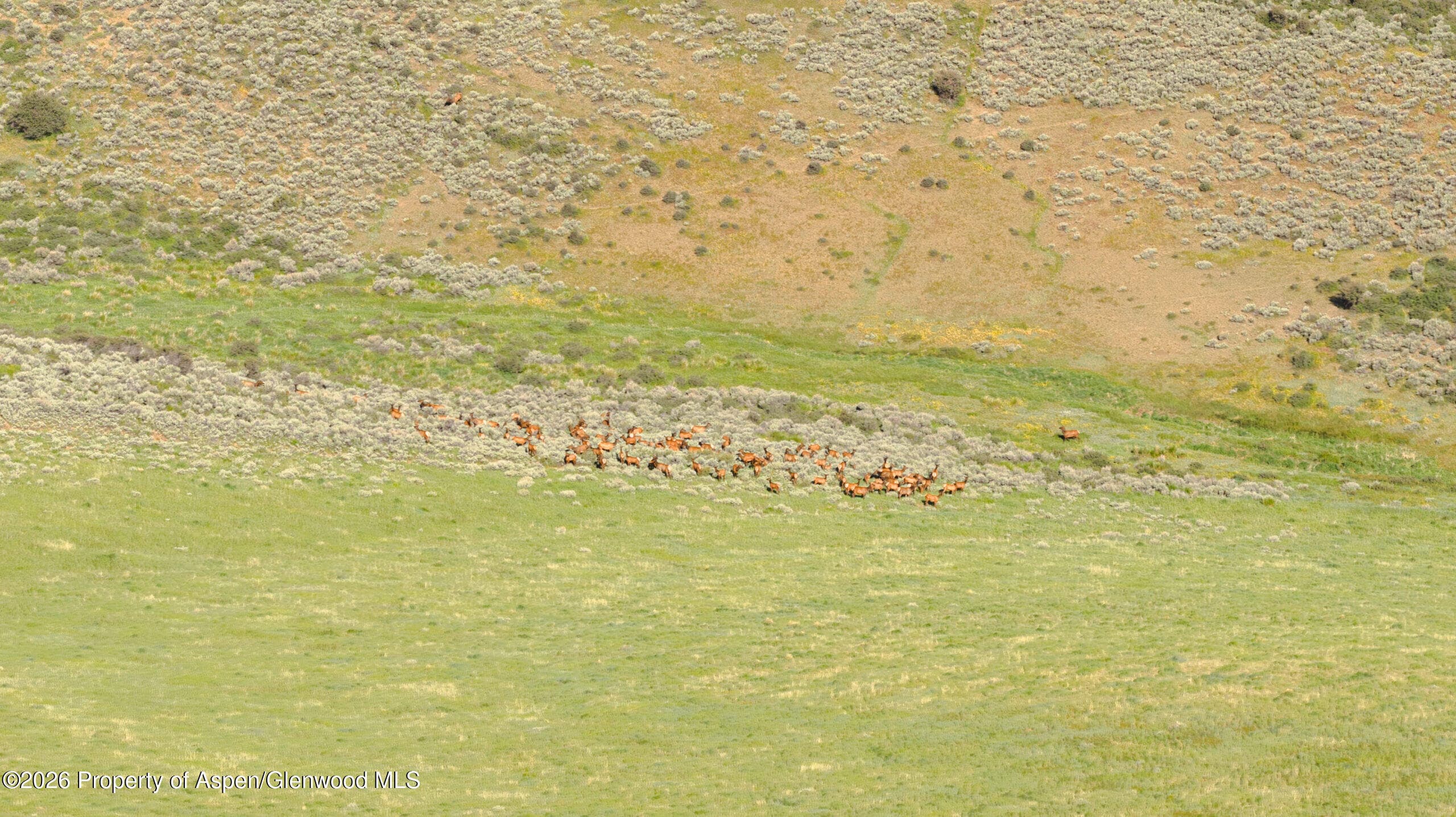 Tbd County Road 57, Hayden, CO 81639 - Photo 38
