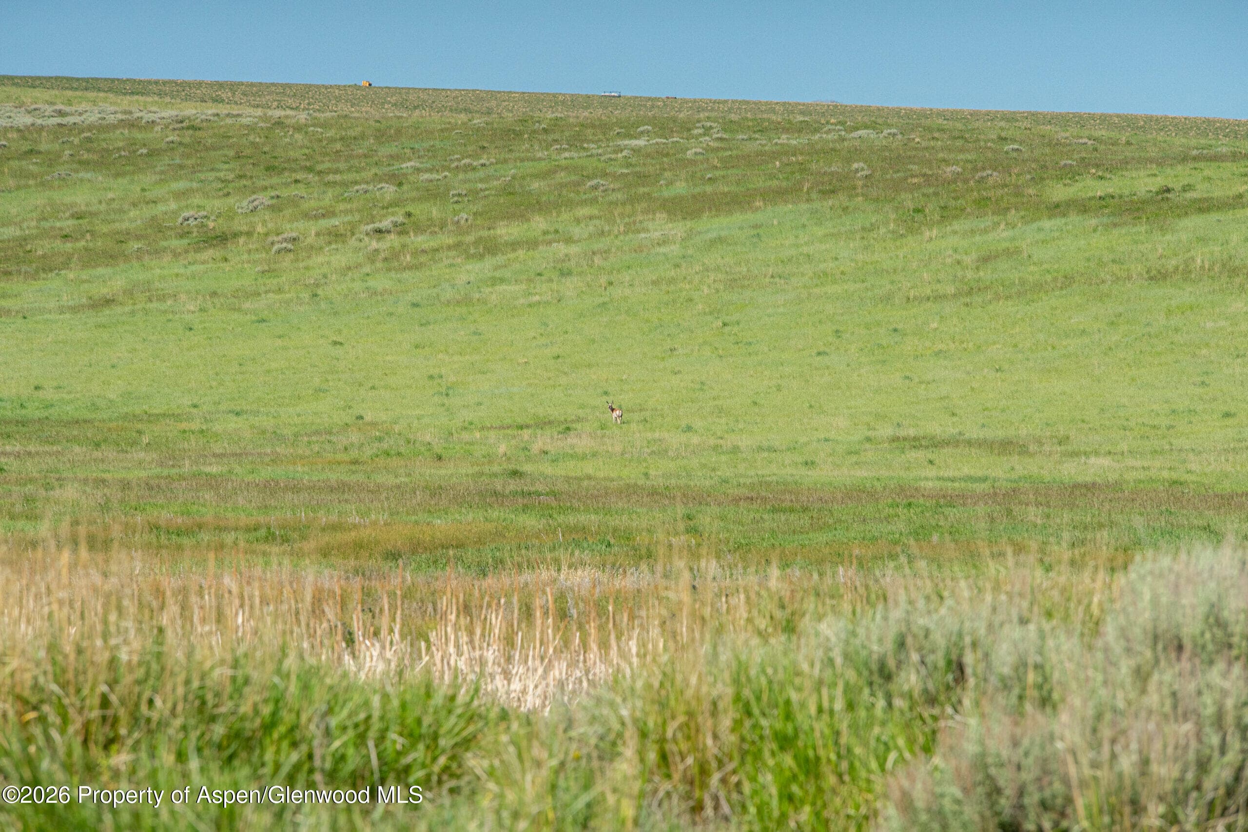 Tbd County Road 57, Hayden, CO 81639 - Photo 40