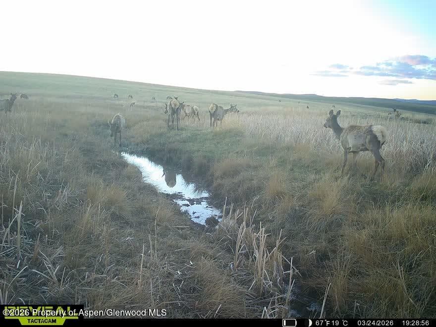 Tbd County Road 57, Hayden, CO 81639 - Photo 42