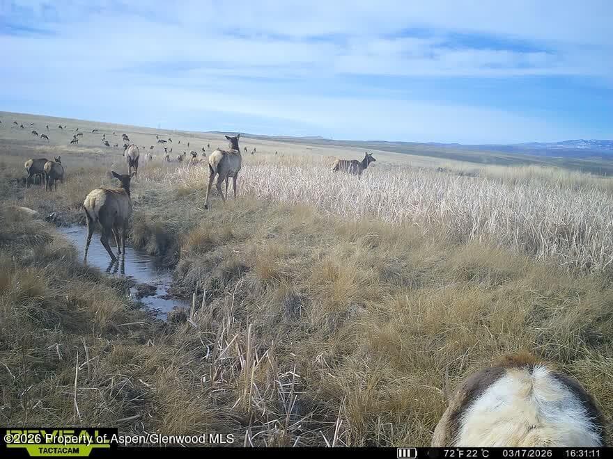 Tbd County Road 57, Hayden, CO 81639 - Photo 49