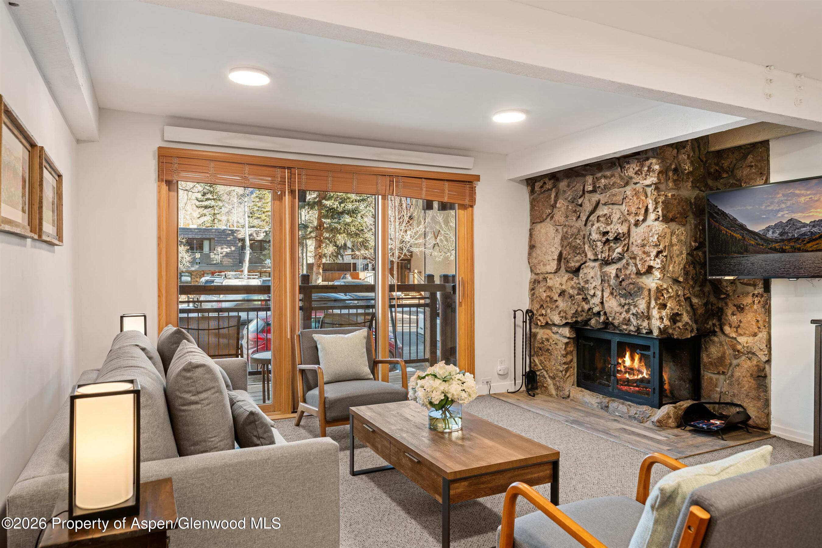 131 E Durant Avenue 104, Aspen, CO 81611 - Photo 1