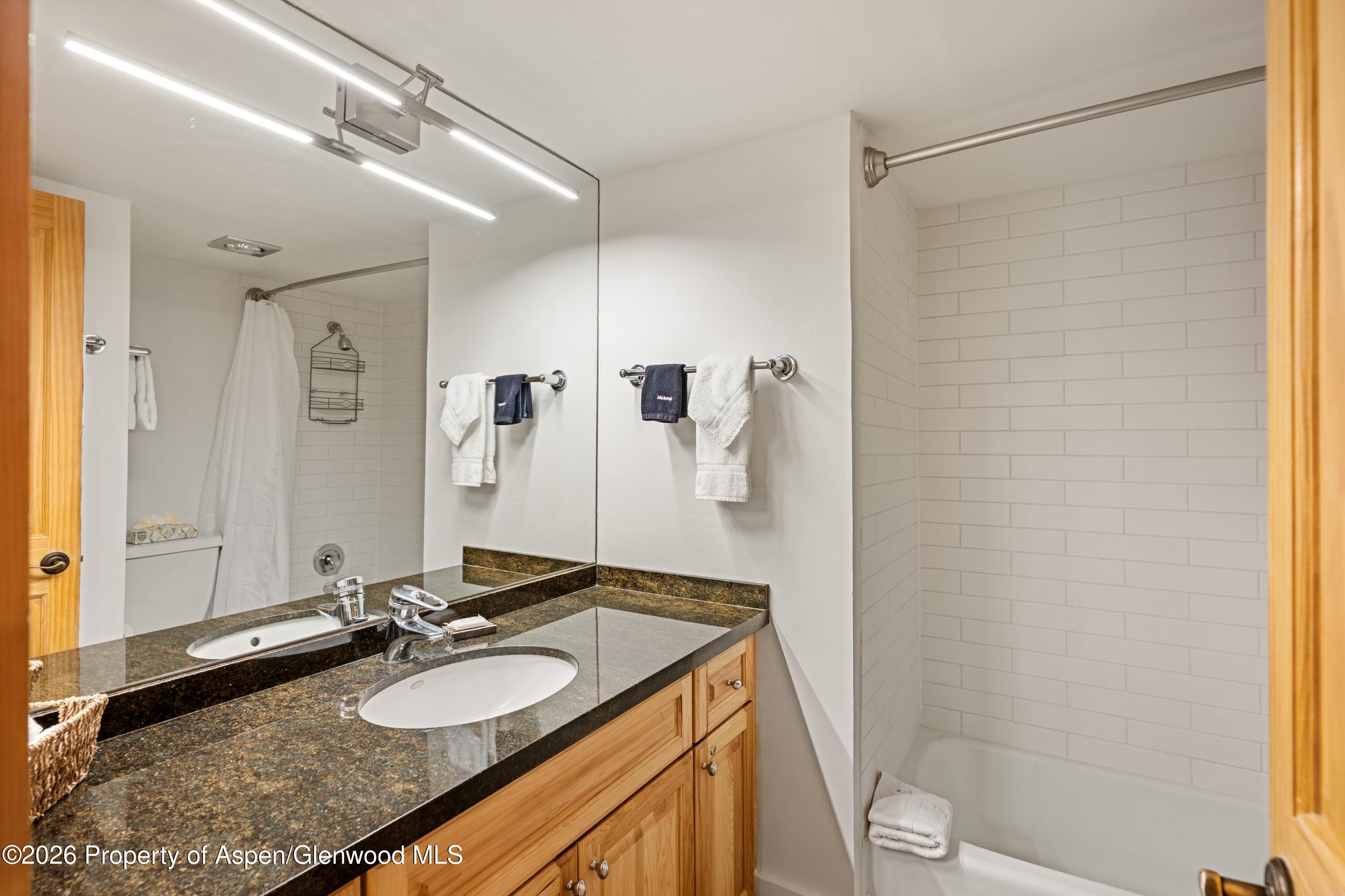 131 E Durant Avenue 104, Aspen, CO 81611 - Photo 8