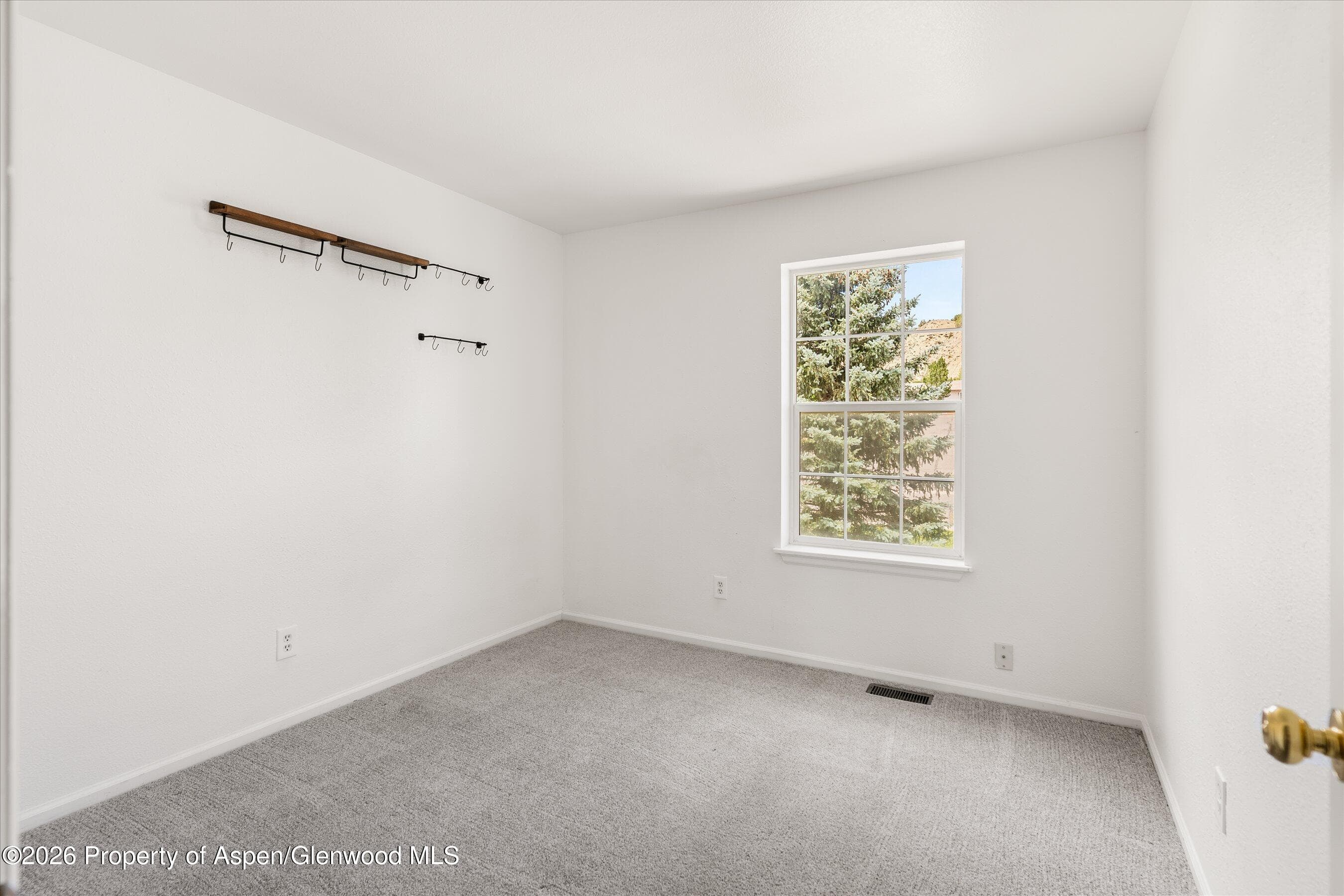 954 W 24th Street, Rifle, CO 81650 - Photo 10