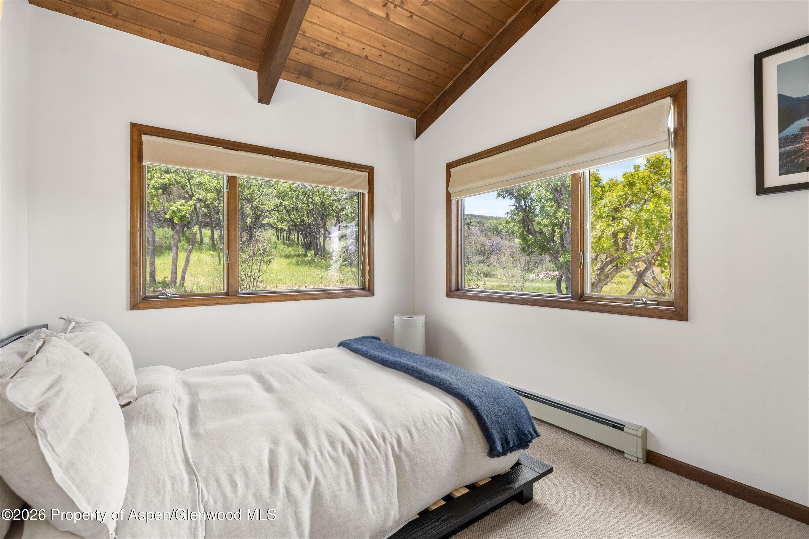 2227 Juniper Hill Road, Aspen, CO 81611 - Photo 20