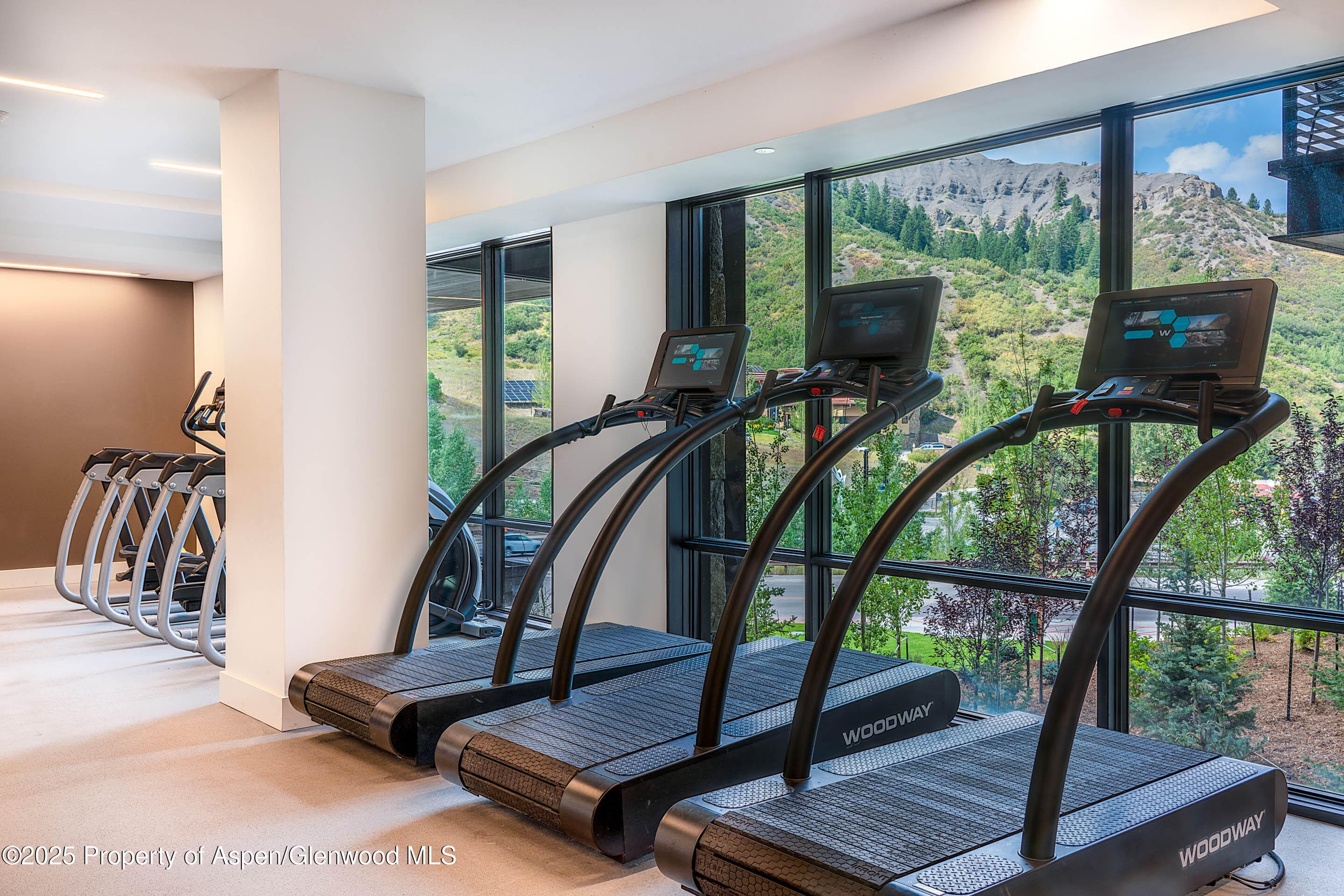 77 Wood Road 303, Snowmass Village, CO 81615 - Photo 32