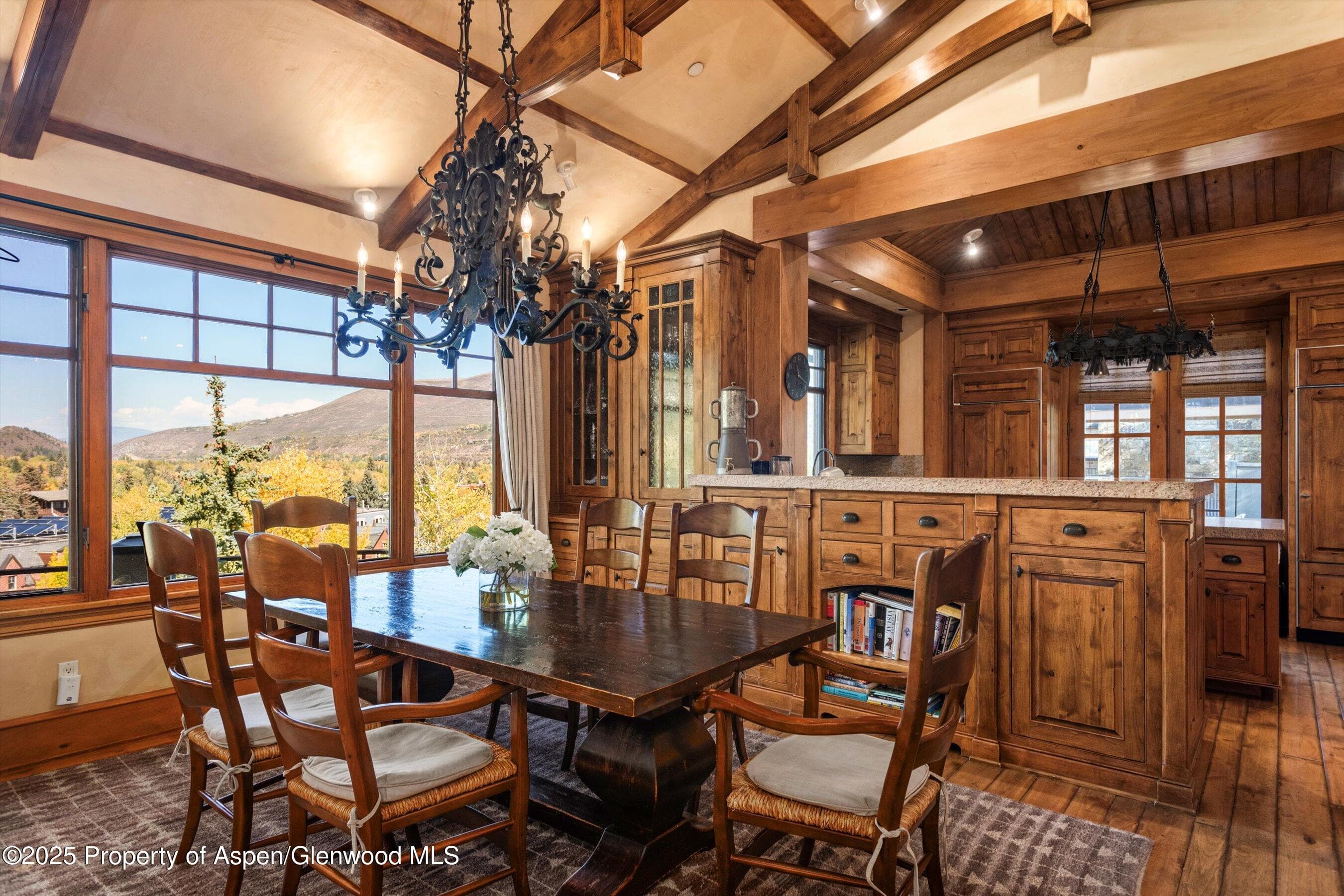 660 S Galena Street, Aspen, CO 81611 - Photo 5