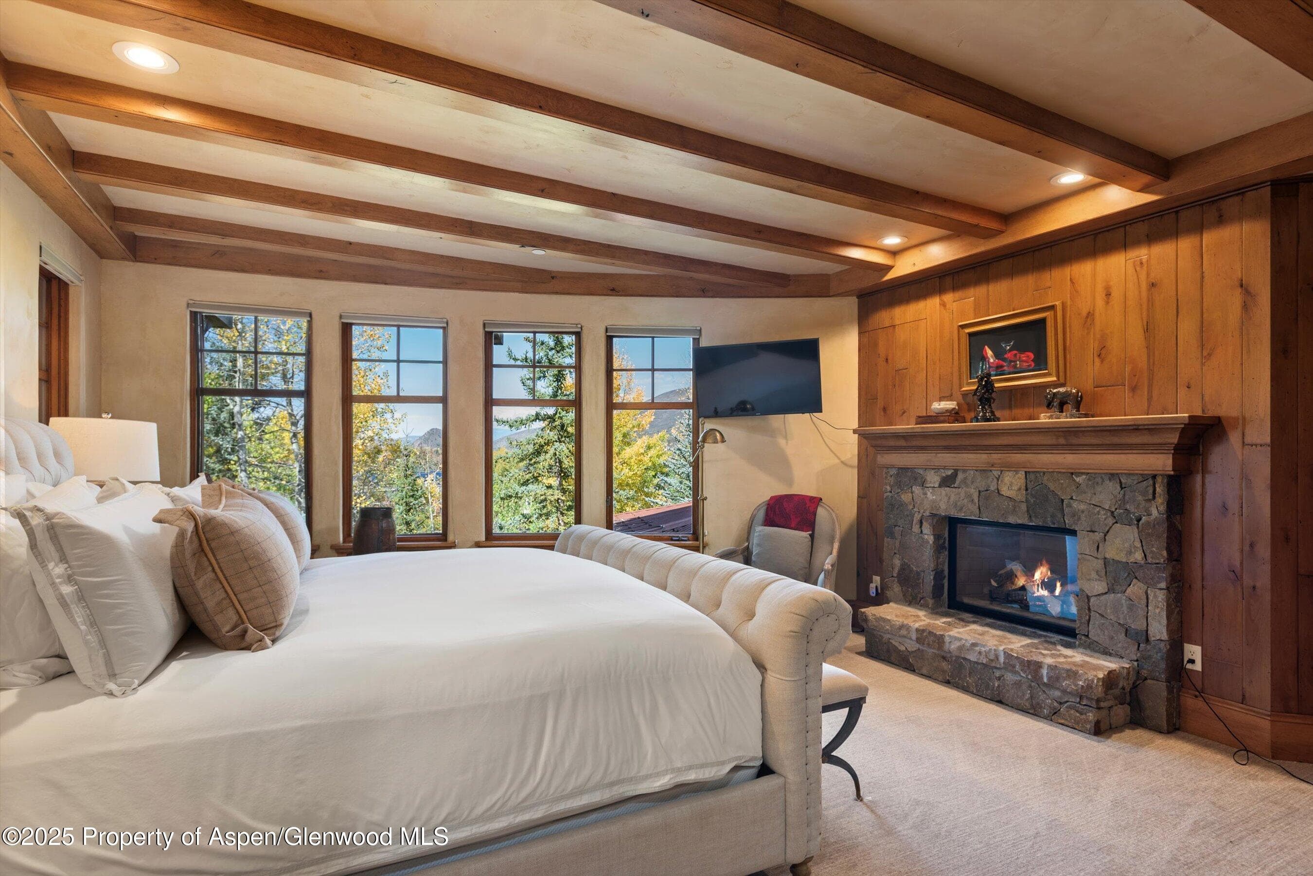 660 S Galena Street, Aspen, CO 81611 - Photo 8