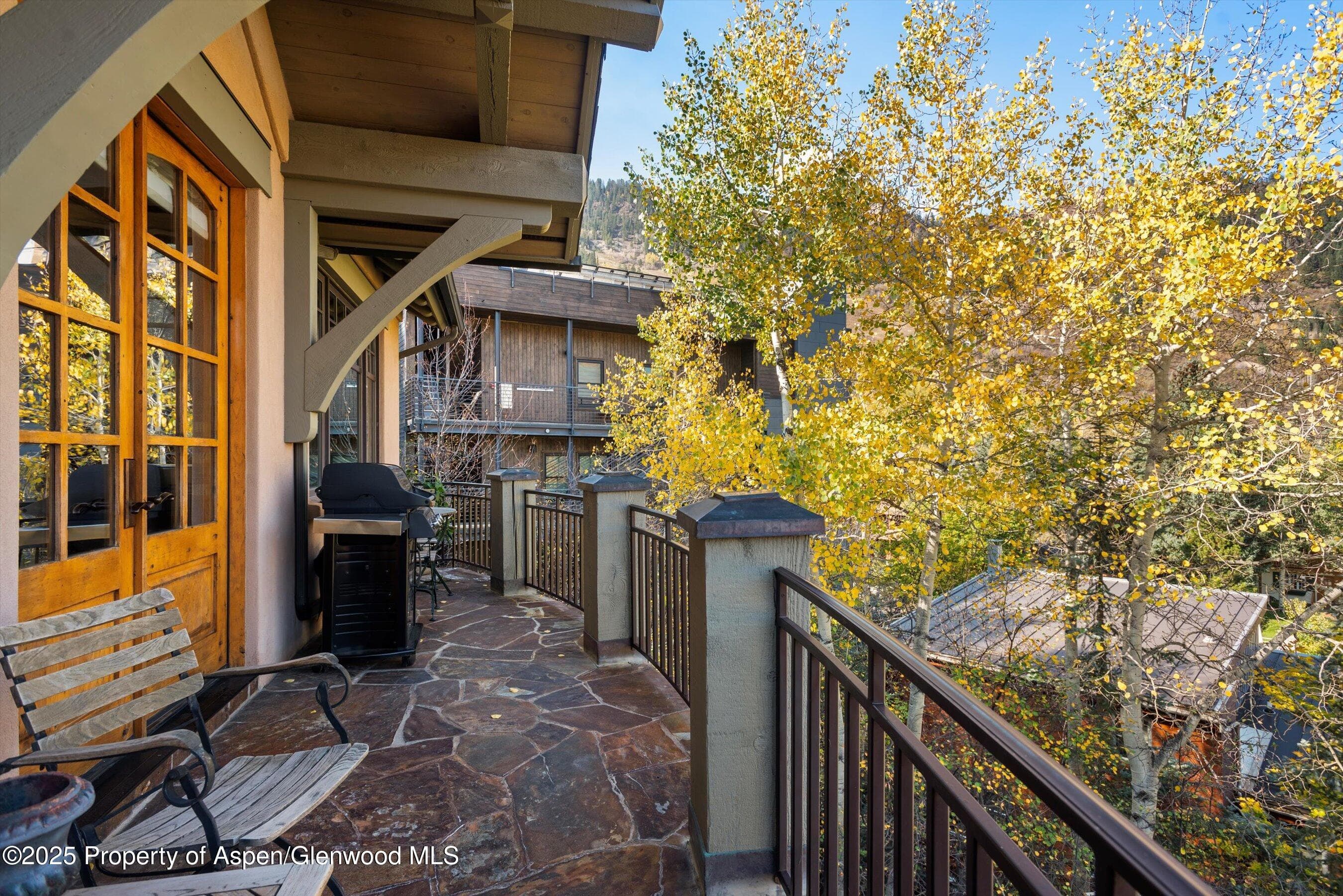 660 S Galena Street, Aspen, CO 81611 - Photo 17