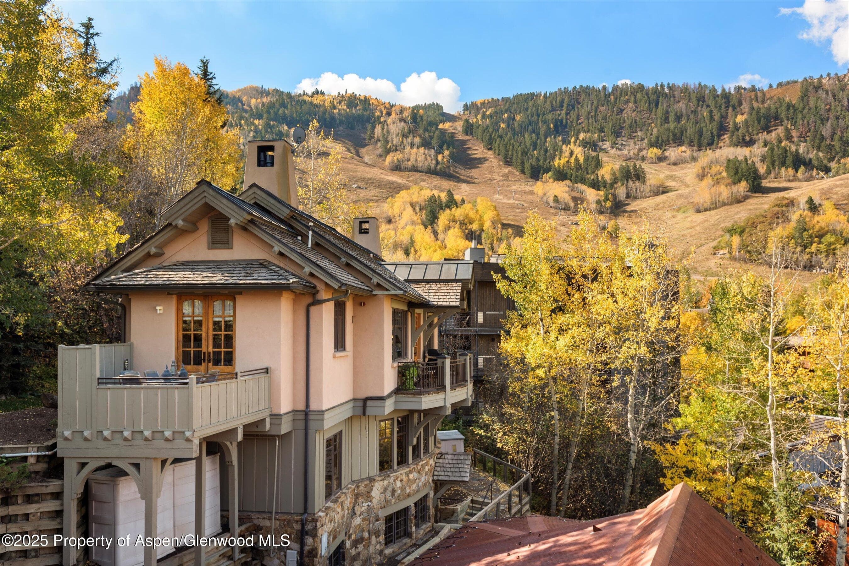 660 S Galena Street, Aspen, CO 81611 - Photo 18