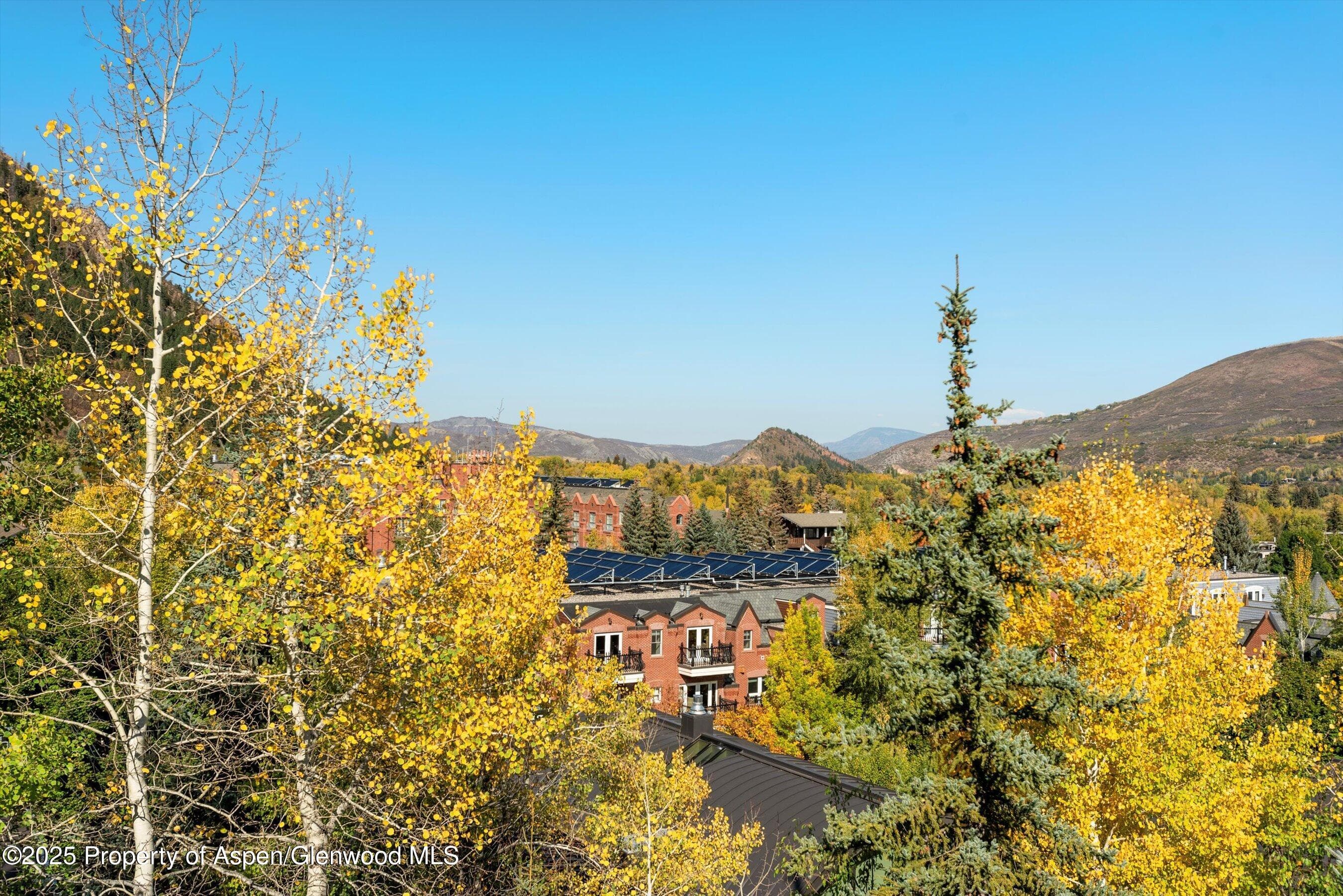 660 S Galena Street, Aspen, CO 81611 - Photo 22