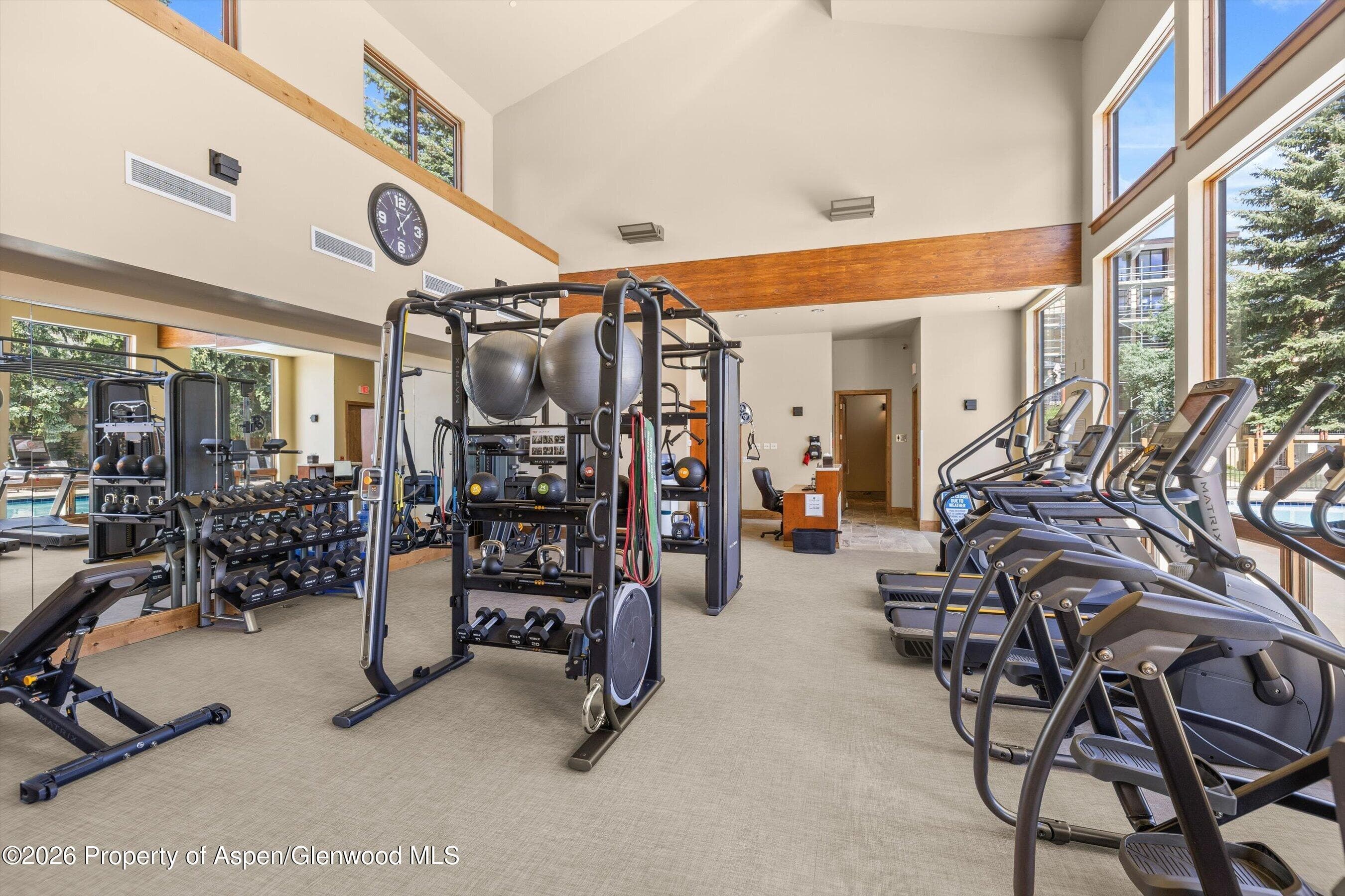 65 Campground Lane 90, Snowmass Village, CO 81615 - Photo 16