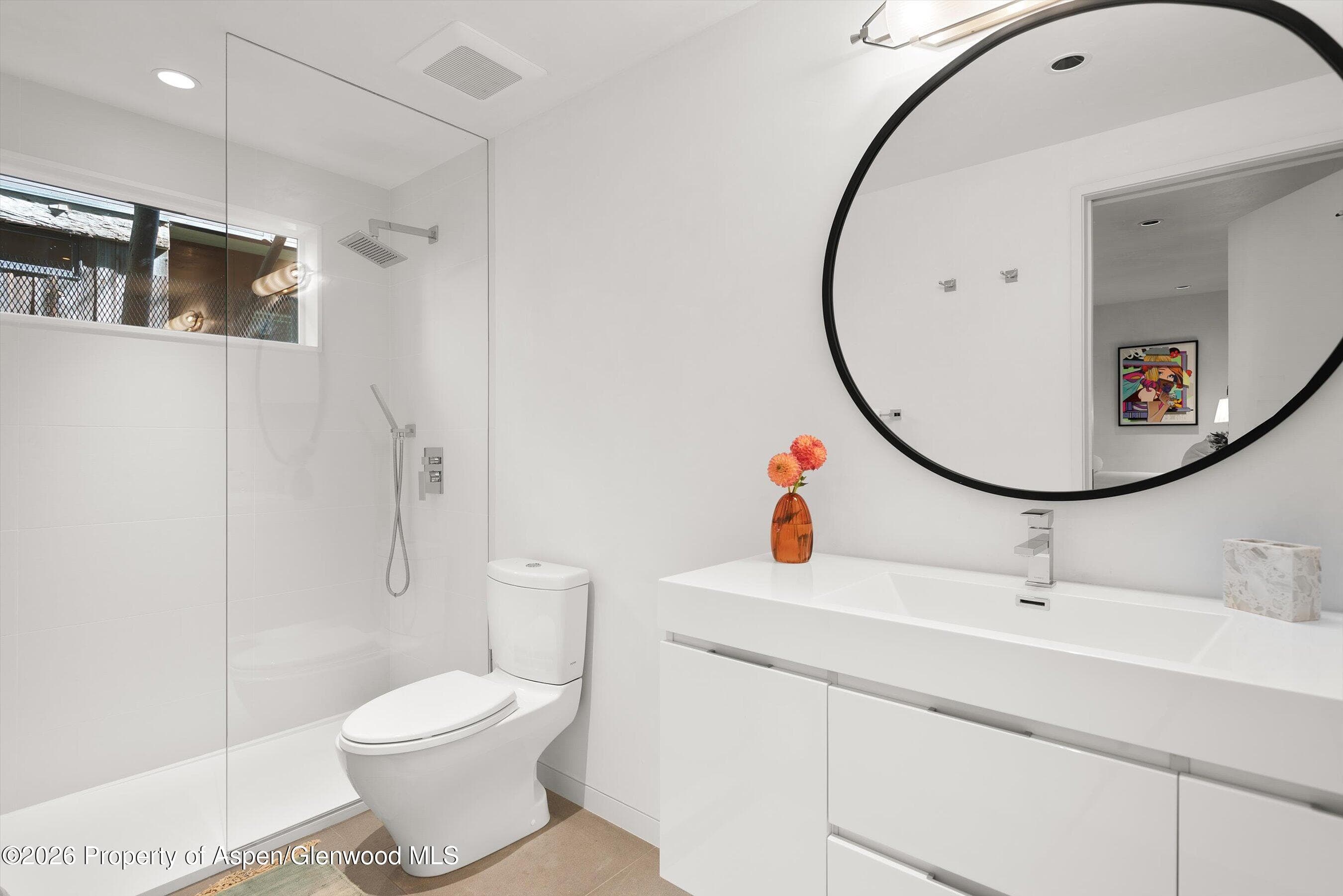 520 N Eighth Street, Aspen, CO 81611 - Photo 15