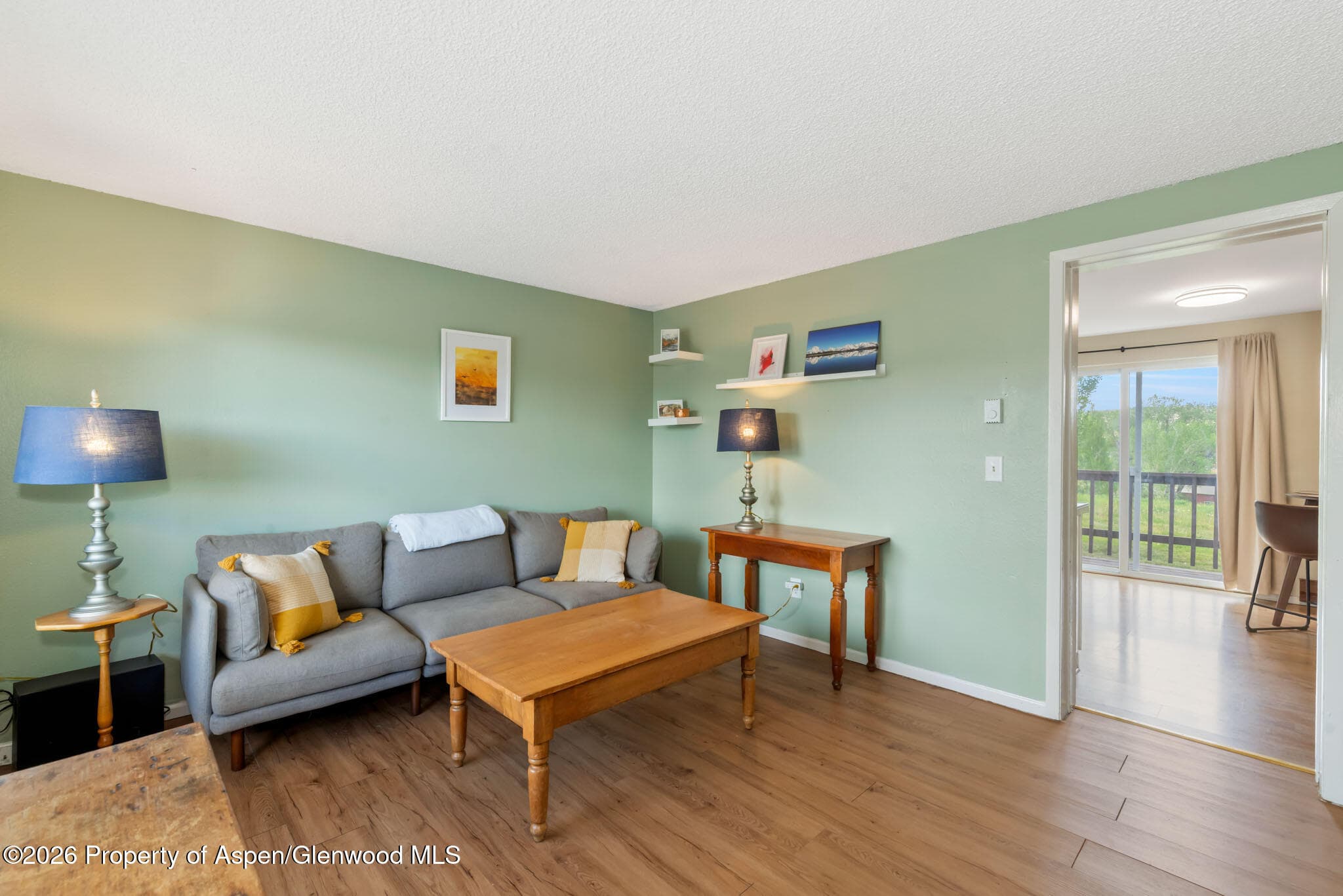 250 S Harvest Drive, Hayden, CO 81639 - Photo 3
