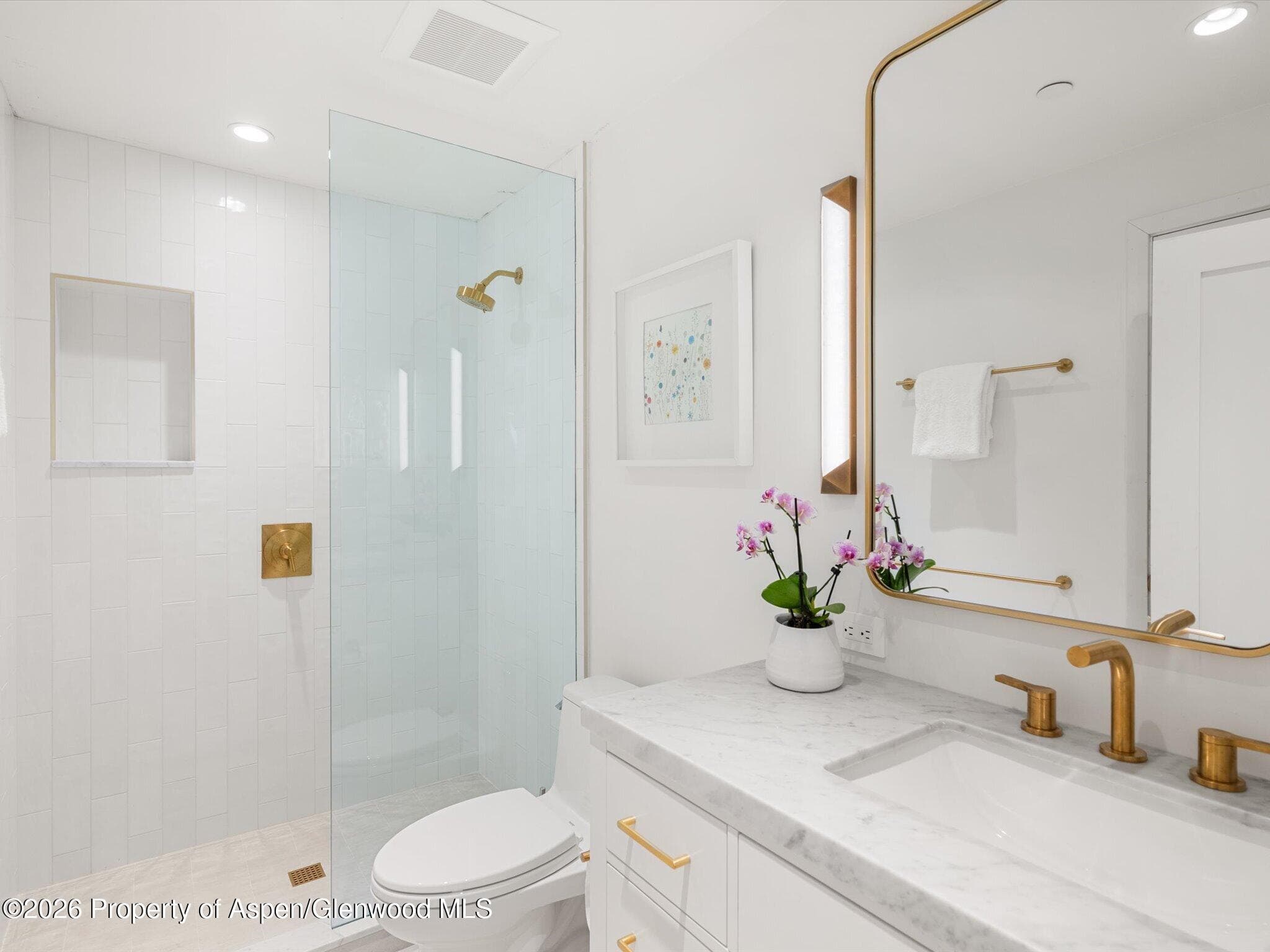 900 E Durant Avenue # 107, Aspen, CO 81611 - Photo 9