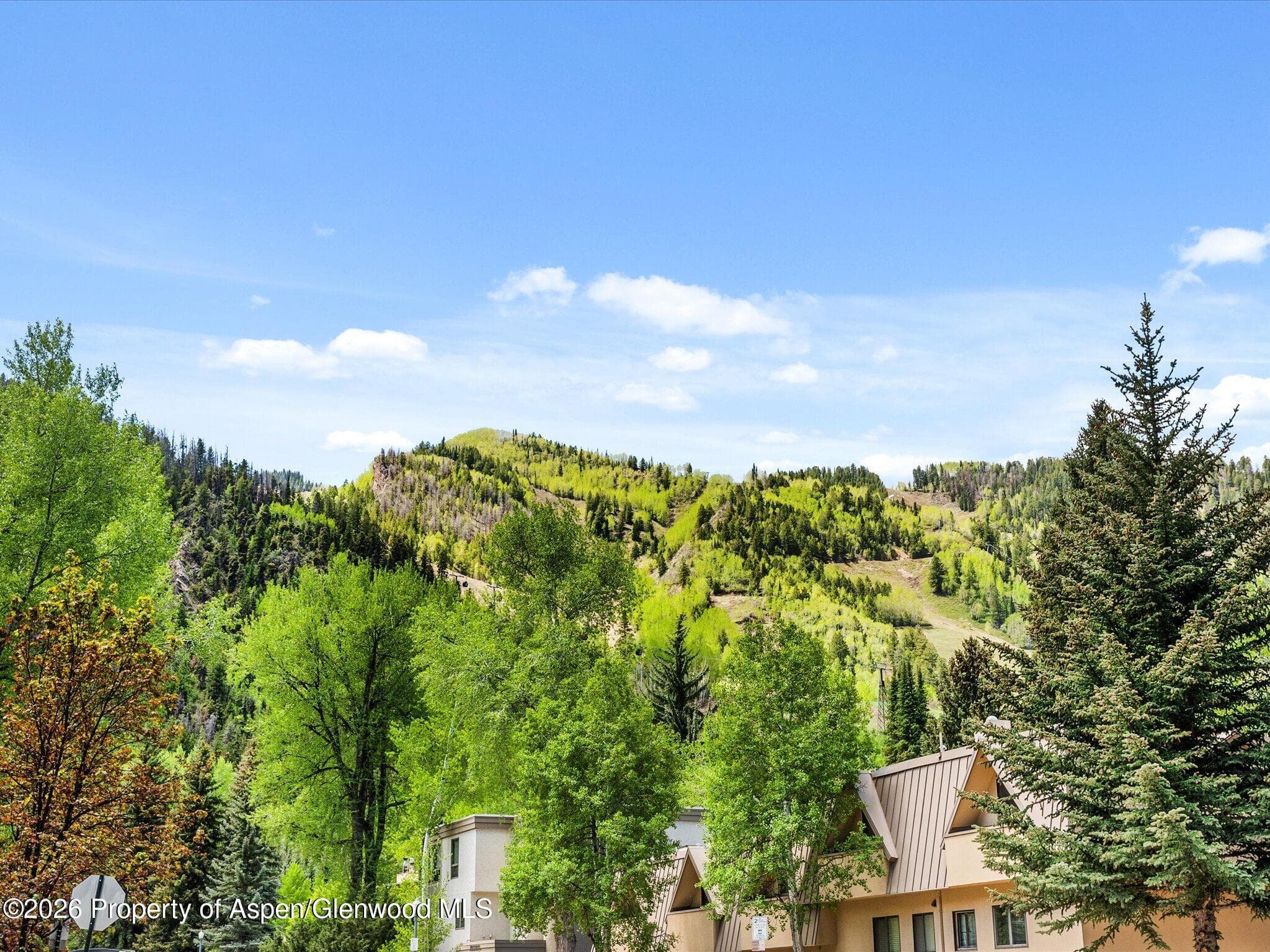 900 E Durant Avenue # 107, Aspen, CO 81611 - Photo 22