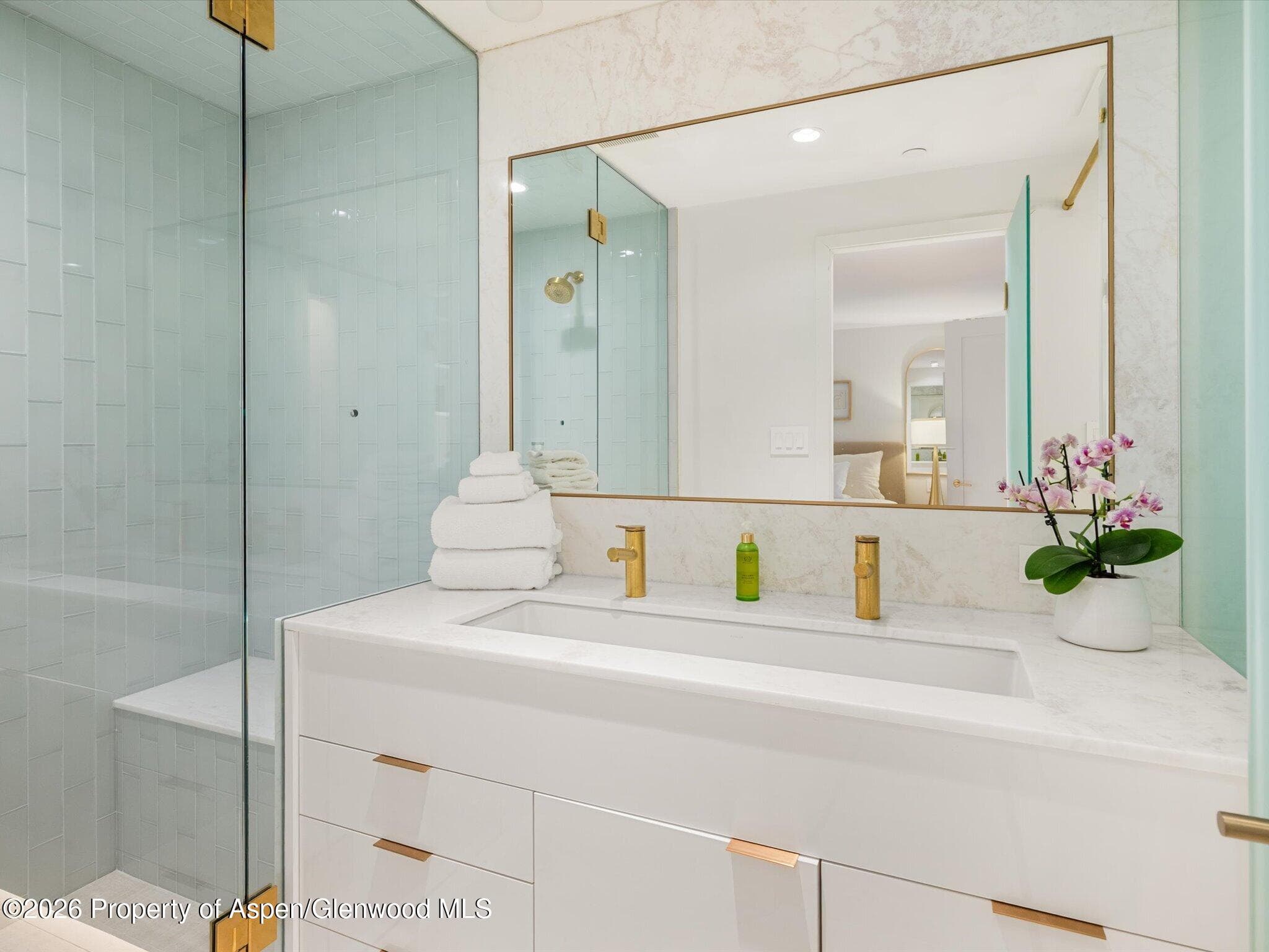 900 E Durant Avenue # 107, Aspen, CO 81611 - Photo 15