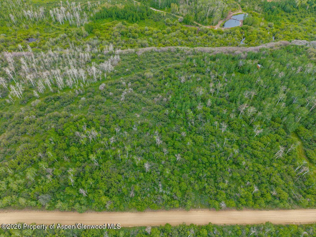 341 Treemoss Drive, Craig, CO 81625 - Photo 14