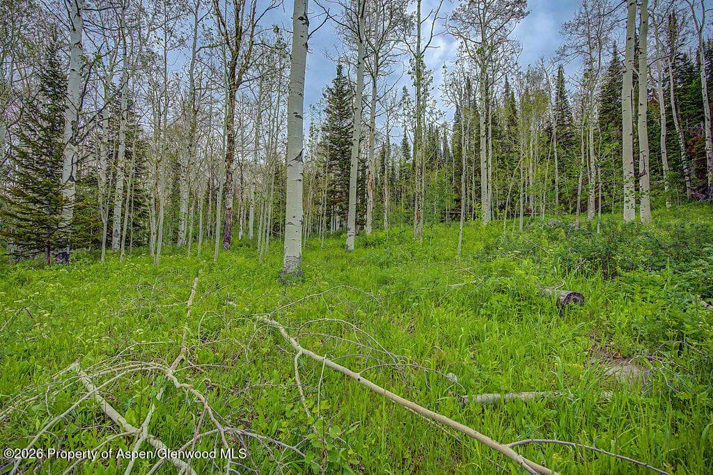 972 Timberlane Drive Lot#115, Craig, CO 81625 - Photo 36