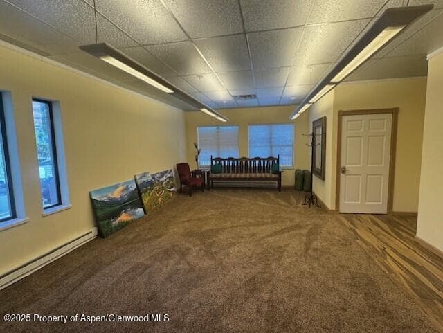 23286 Two Rivers Road, Basalt, CO 81621 - Photo 2