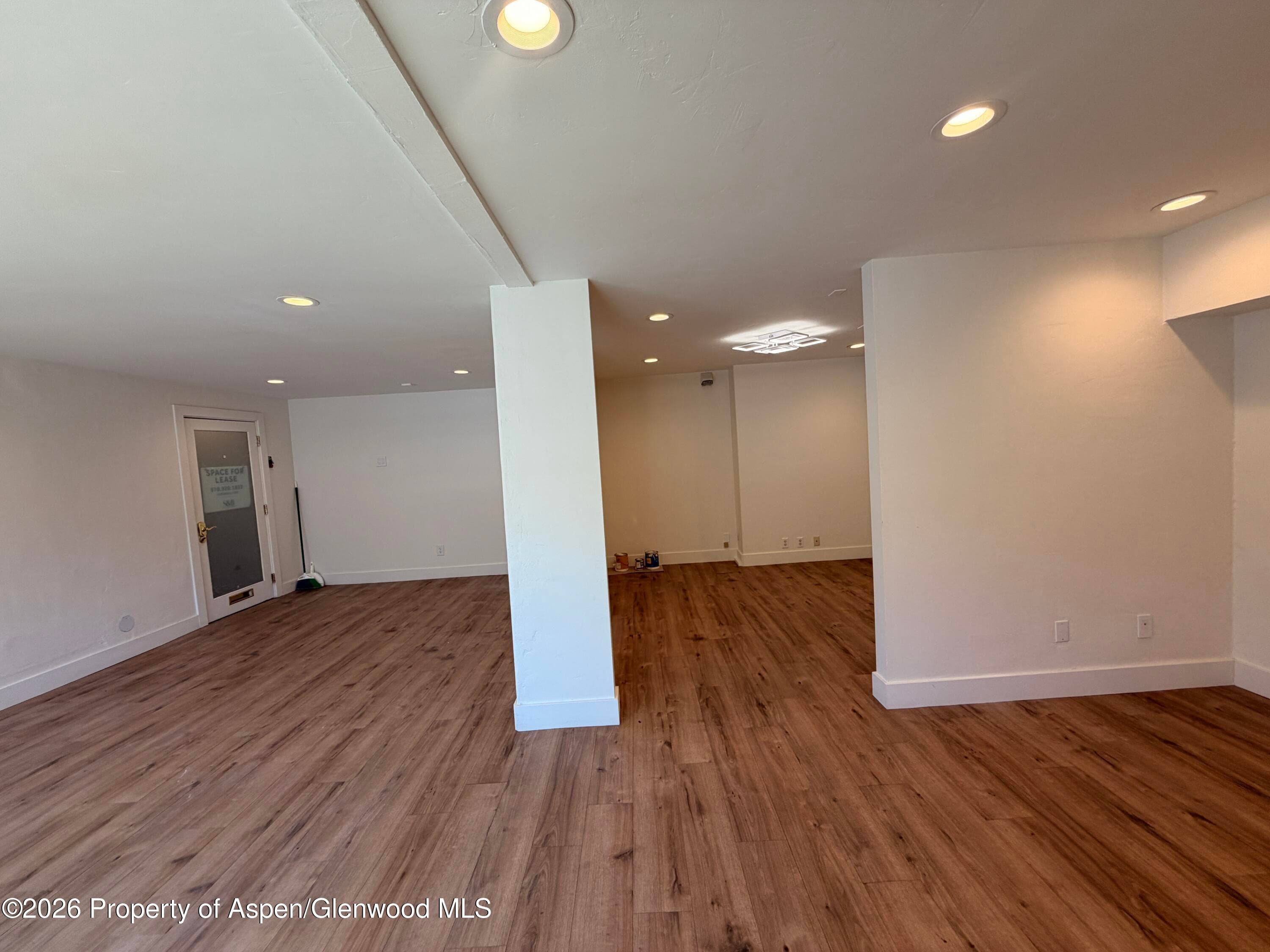 601 E Hopkins Avenue 202, Aspen, CO 81611 - Photo 9