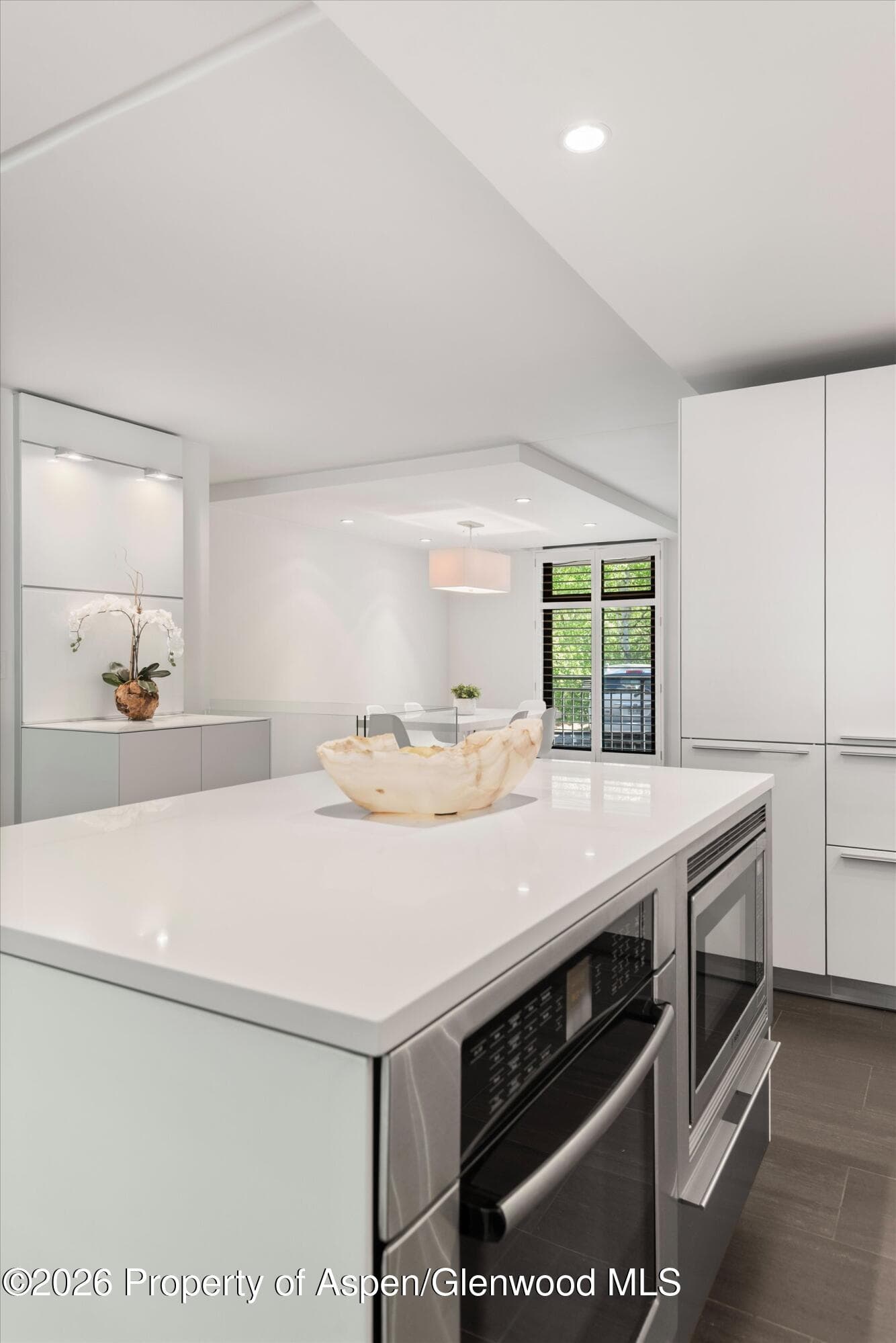800 E Hopkins Avenue A-3, Aspen, CO 81611 - Photo 8