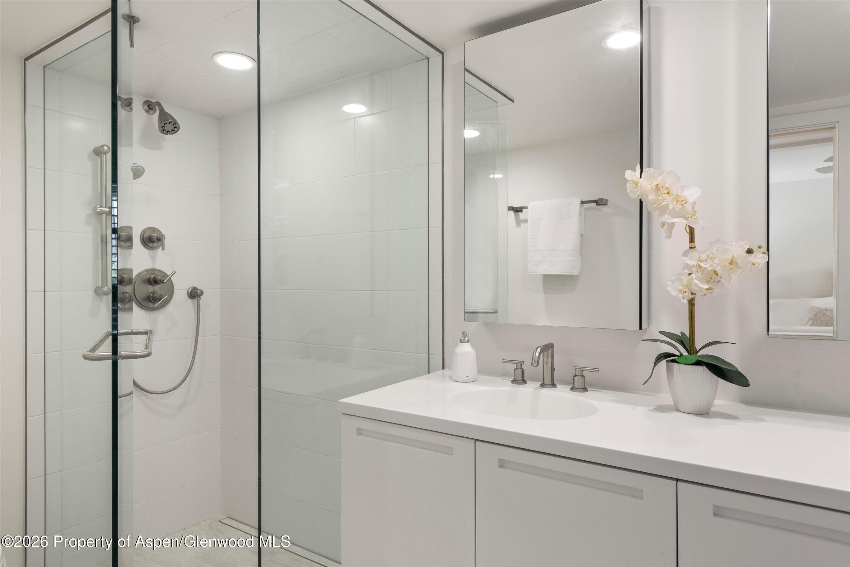 800 E Hopkins Avenue A-3, Aspen, CO 81611 - Photo 26