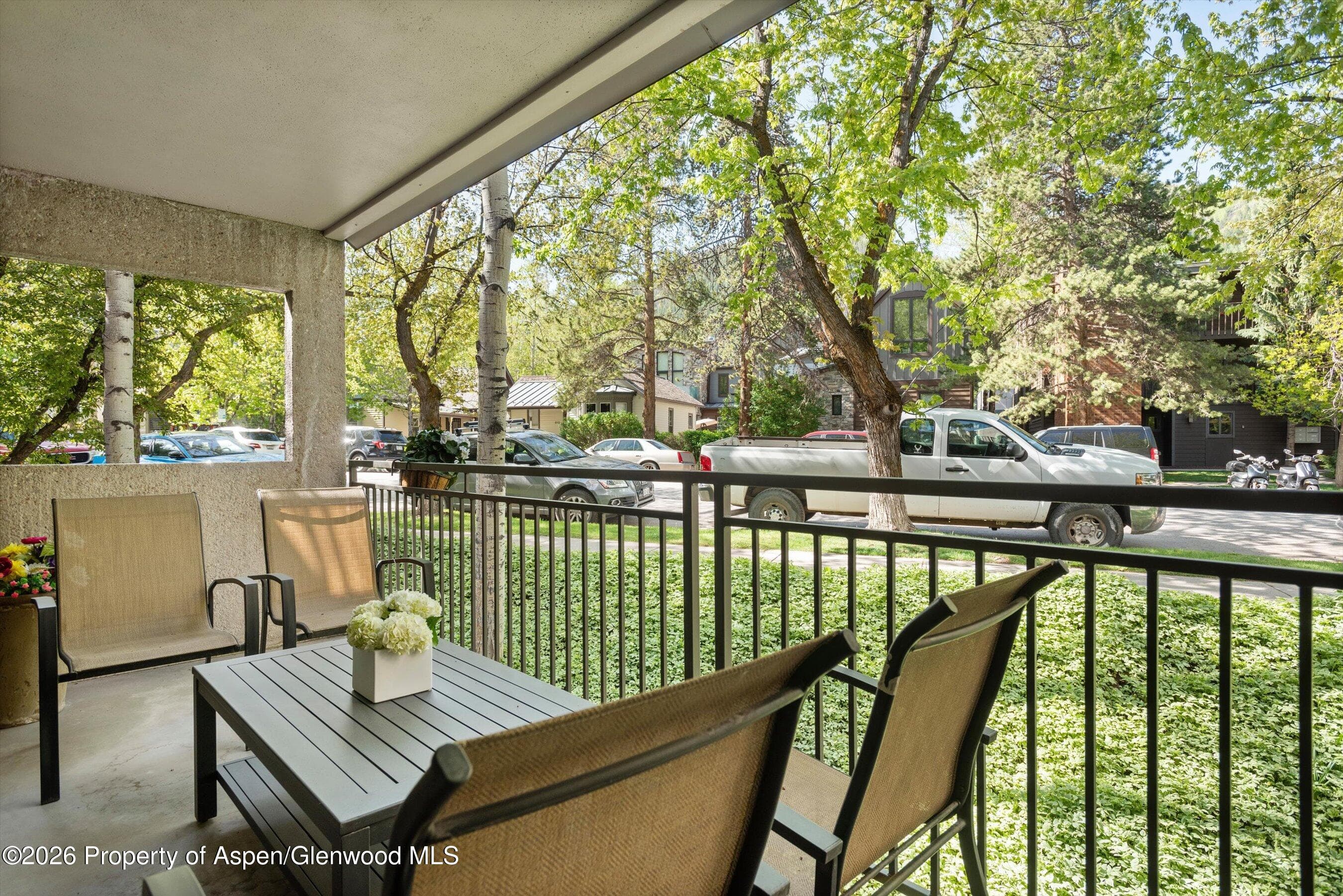 800 E Hopkins Avenue A-3, Aspen, CO 81611 - Photo 37