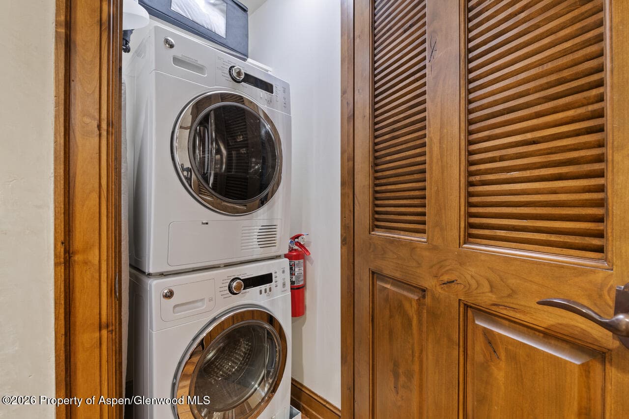415 E Dean St. #32, Wk 9, Aspen, CO 81611 - Photo 10