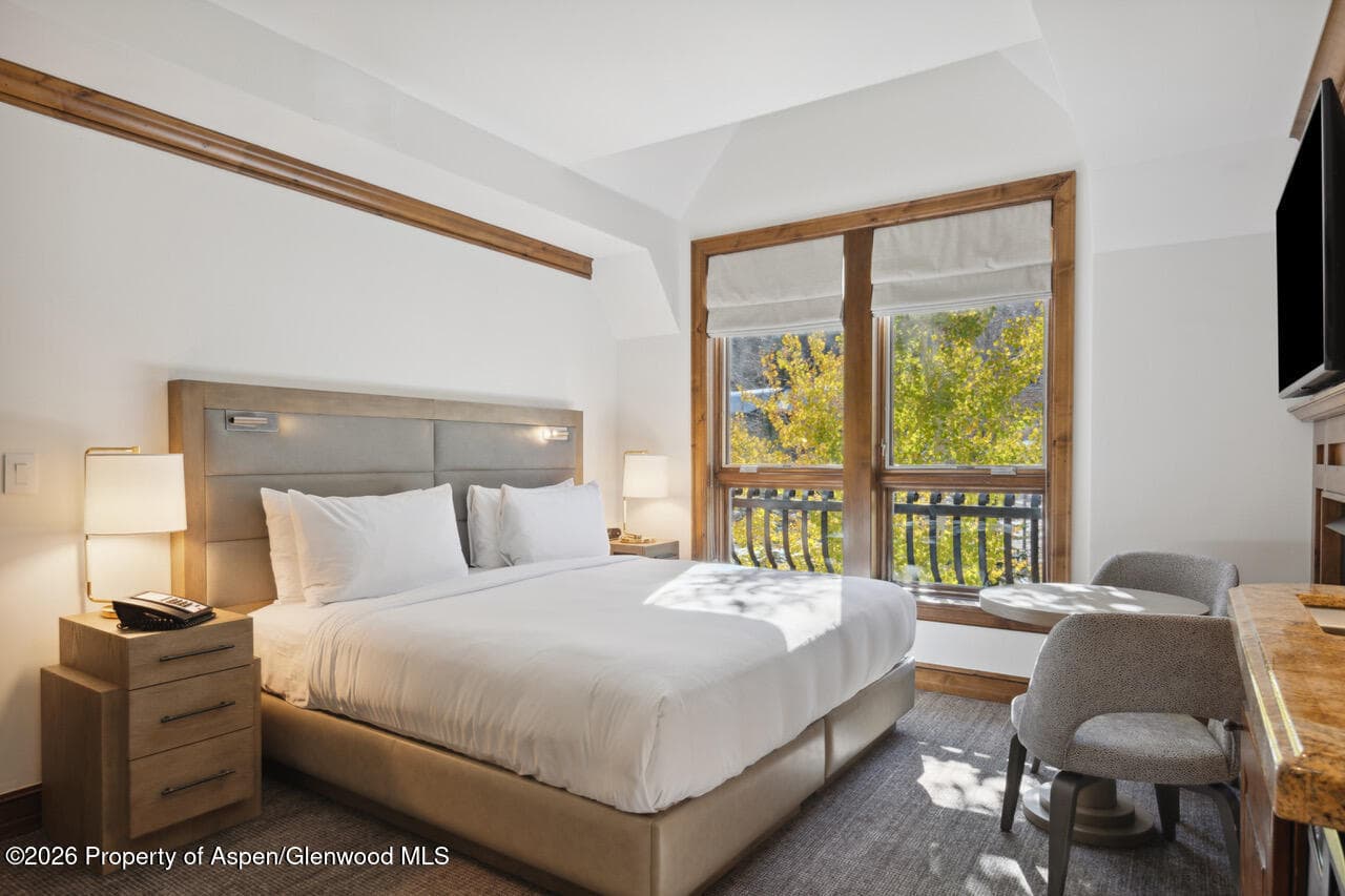 415 E Dean St. #32, Wk 9, Aspen, CO 81611 - Photo 11