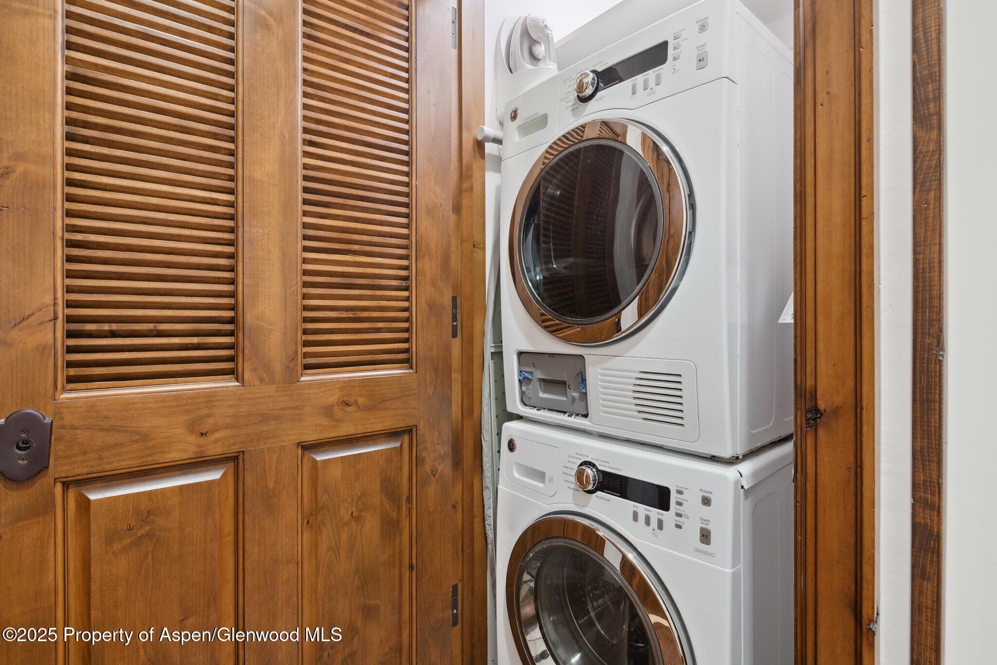 415 E Dean St, Unit 2, Week 31, Aspen, CO 81611 - Photo 14