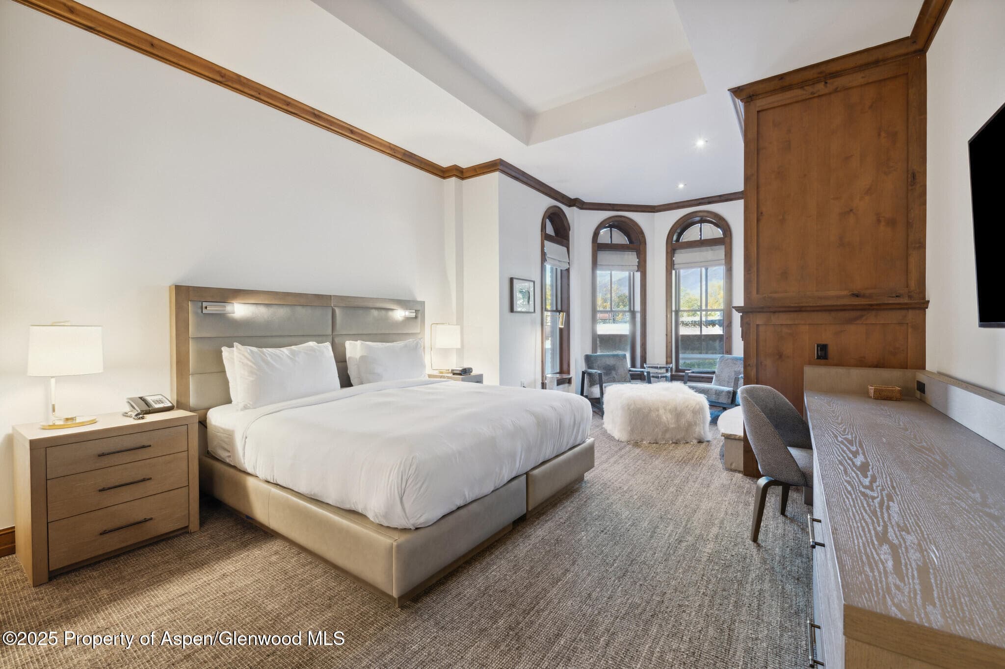 415 E Dean St, Unit 2, Week 31, Aspen, CO 81611 - Photo 15