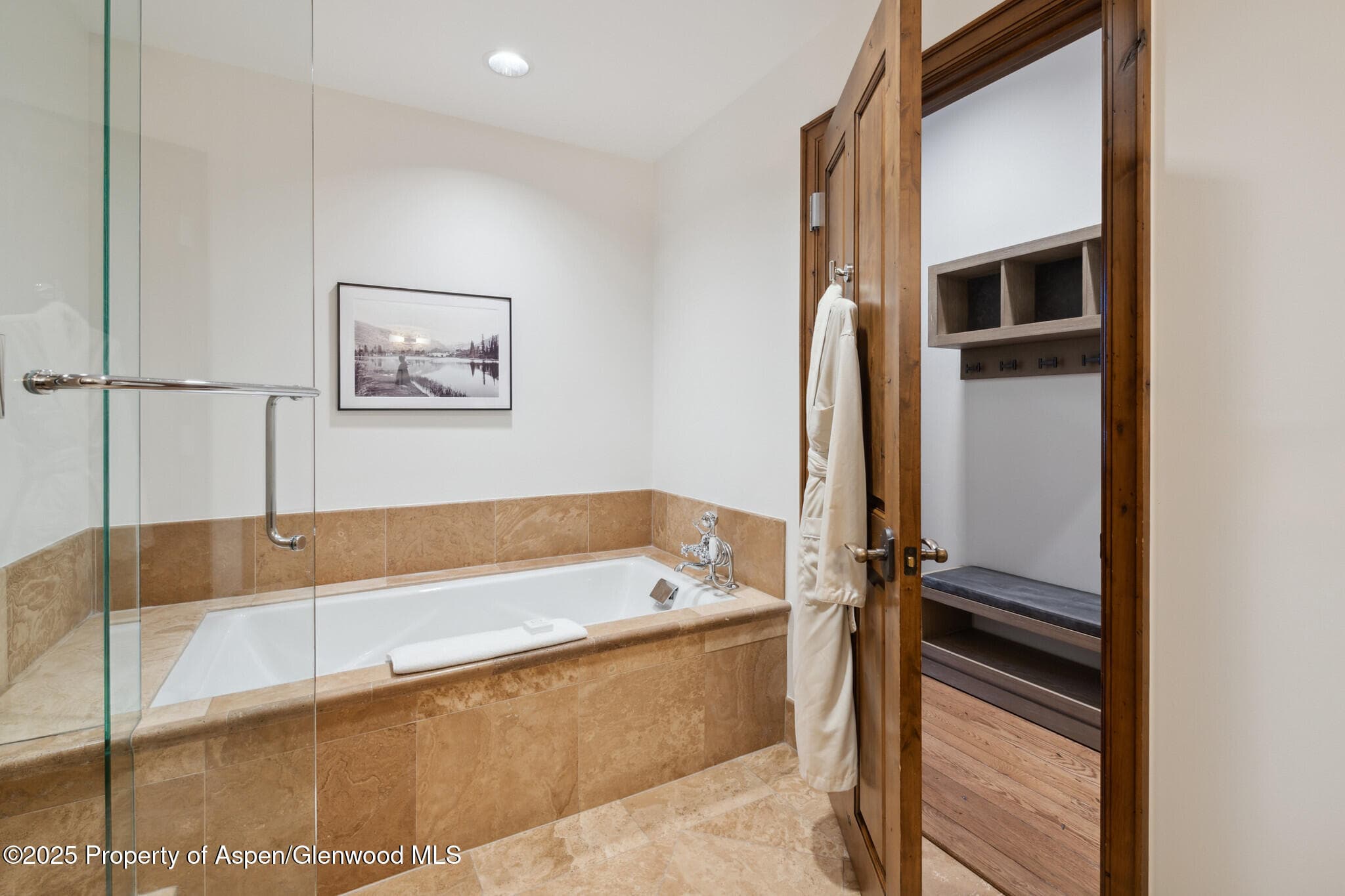 415 E Dean St, Unit 2, Week 31, Aspen, CO 81611 - Photo 20